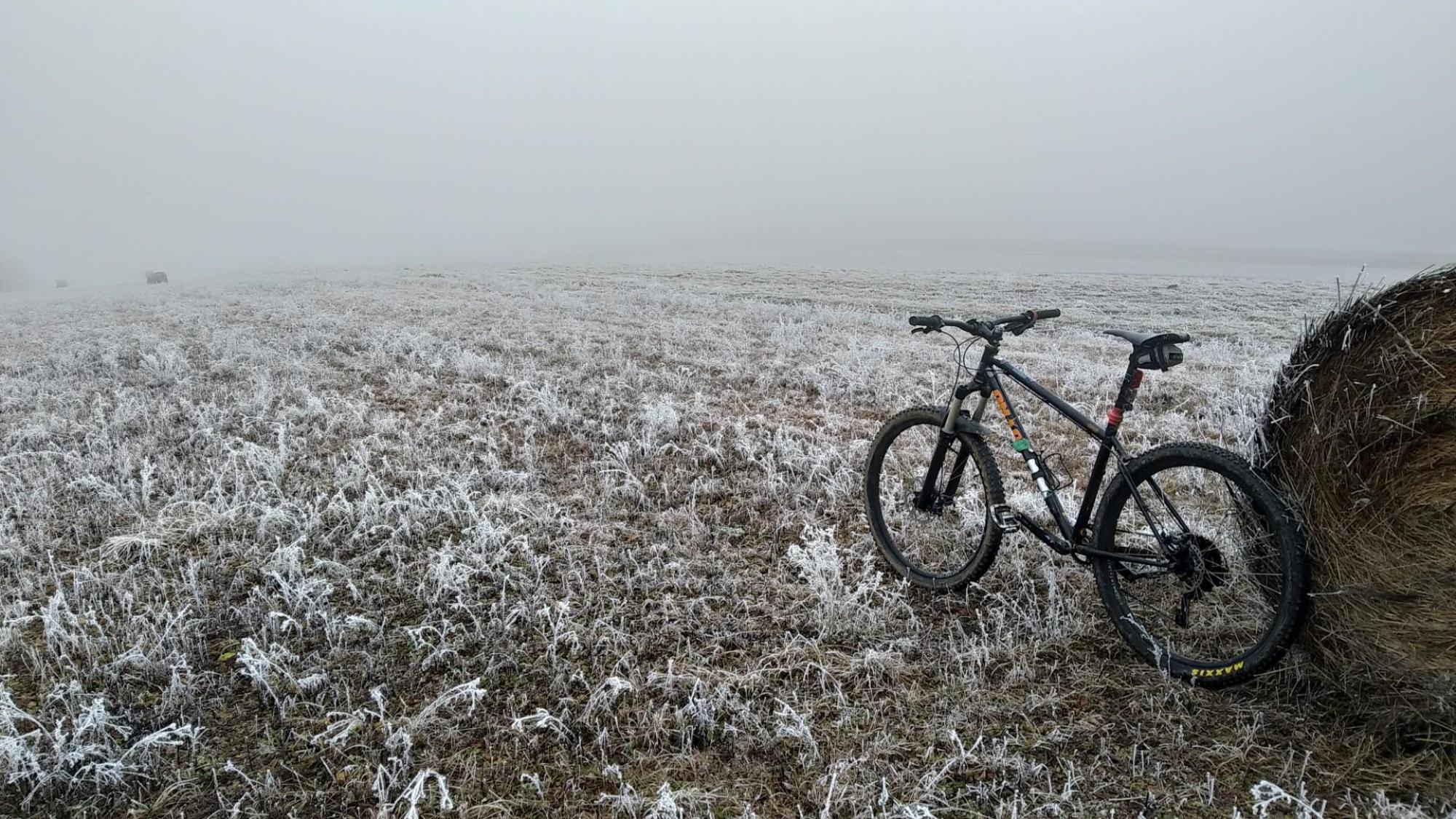 6773f9d770541b26c35b18aa.jpg?width=2000&