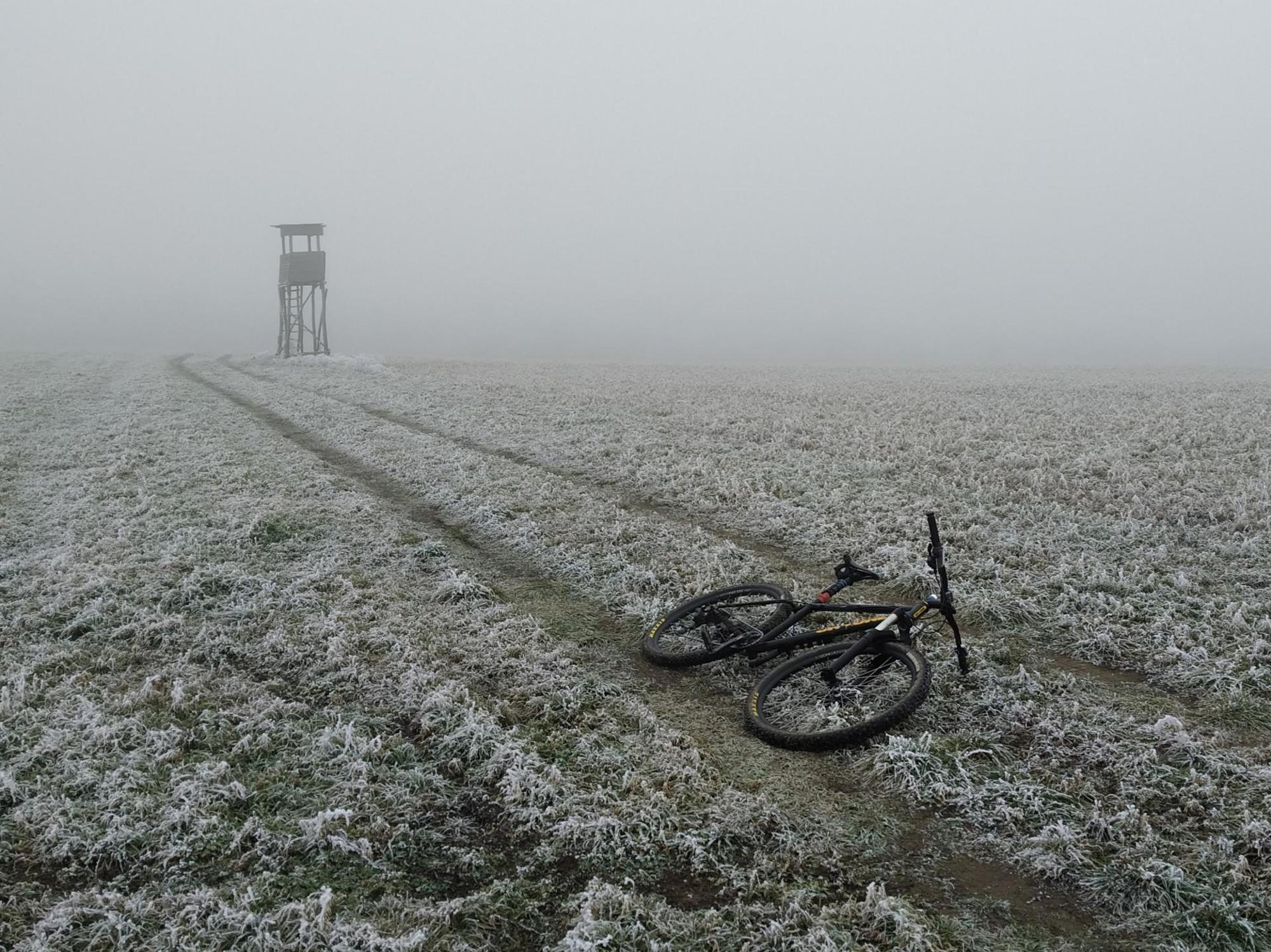 6776a30ccc5b863940ab84f7.jpg?width=2000&