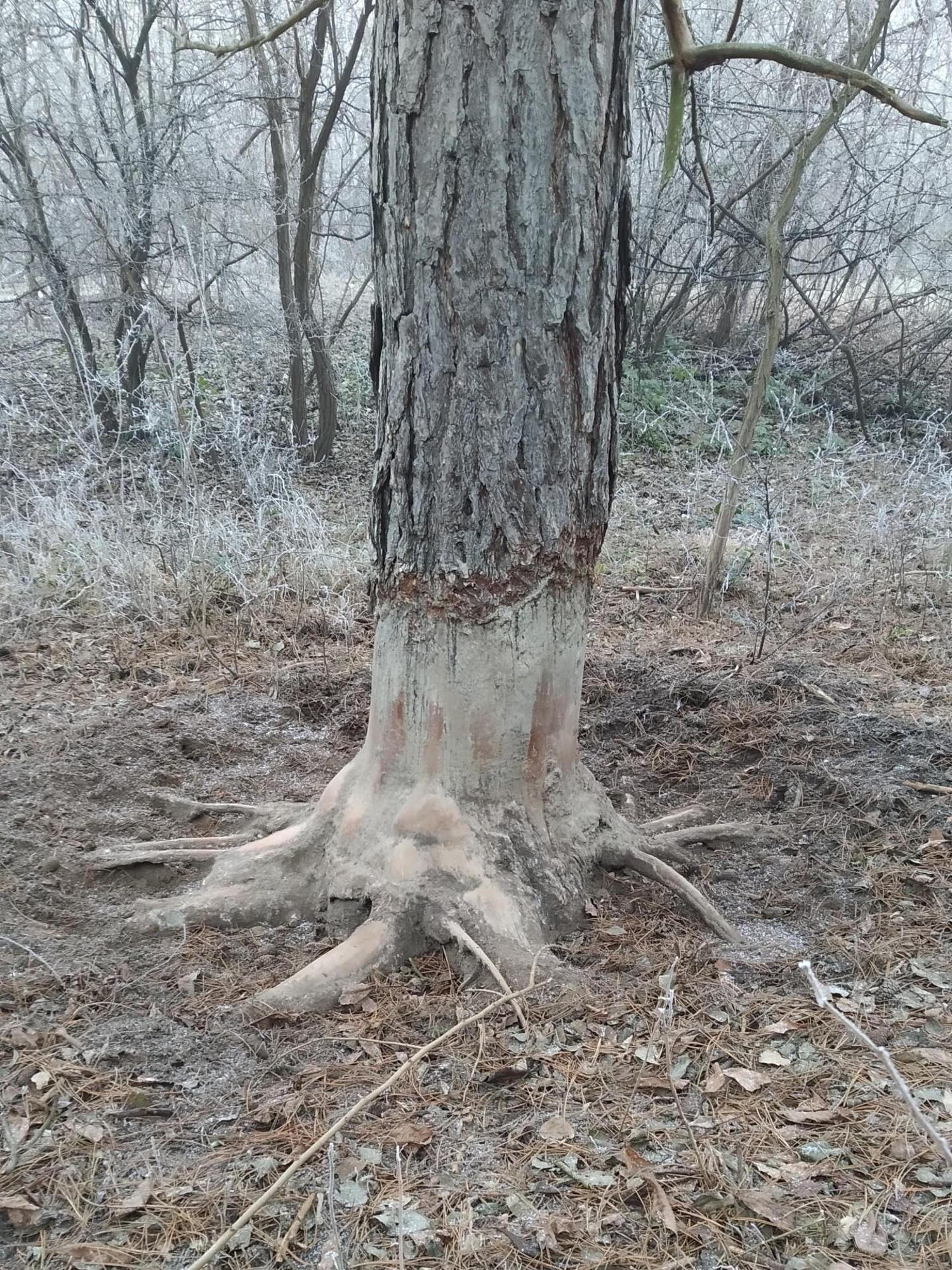 6776a30e0c7a8e42a678b1ac.jpg?width=2000&