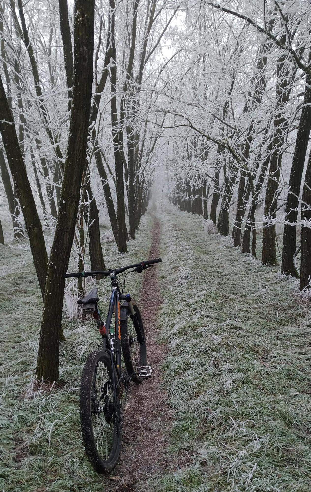 6776a31acc5b863940ab8572.jpg?width=2000&