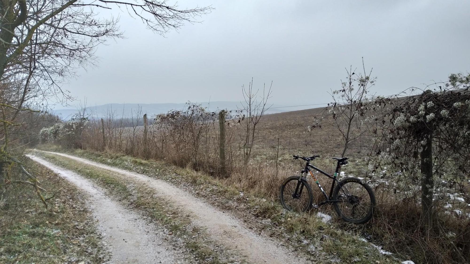 677a8b357b09c50368192b00.jpg?width=2000&