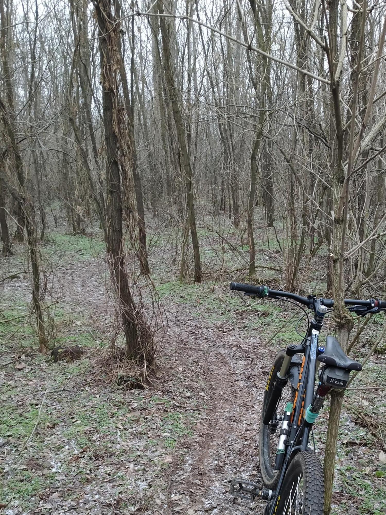 677a9dd5ae41c404a13766fc.jpg?width=2000&