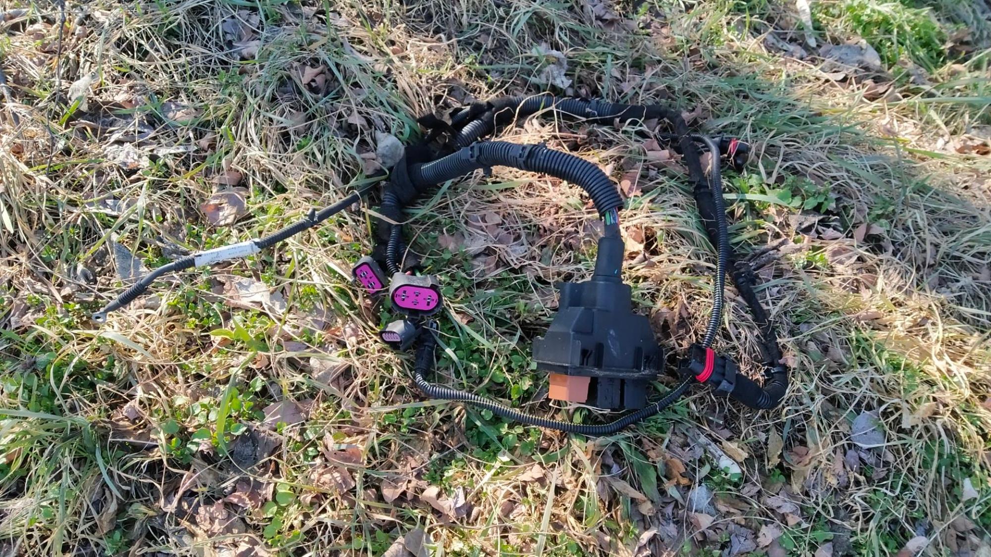 67c454cba4f7c8092b7fe68f.jpg?width=2000&