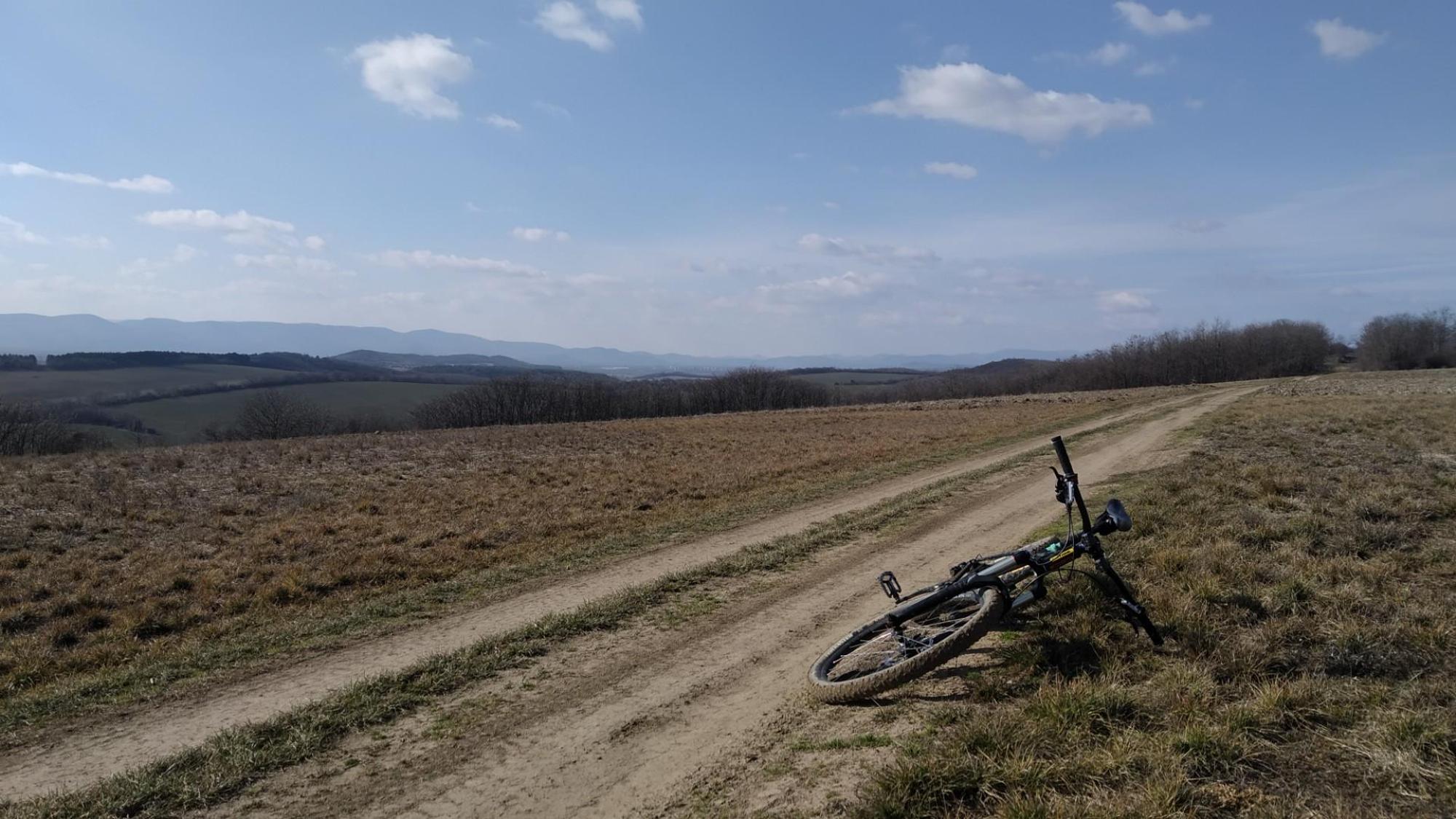 67c454ccc251f92059ce3b66.jpg?width=2000&