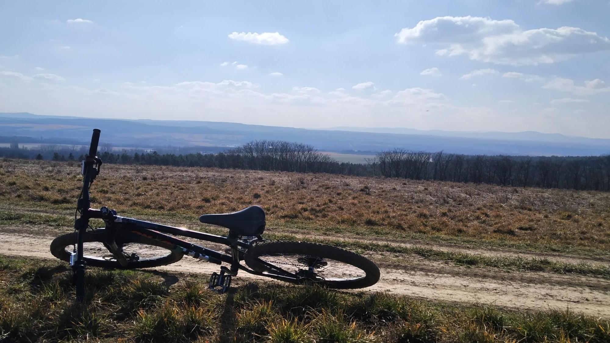 67c454ccd0fa4d58589b0738.jpg?width=2000&