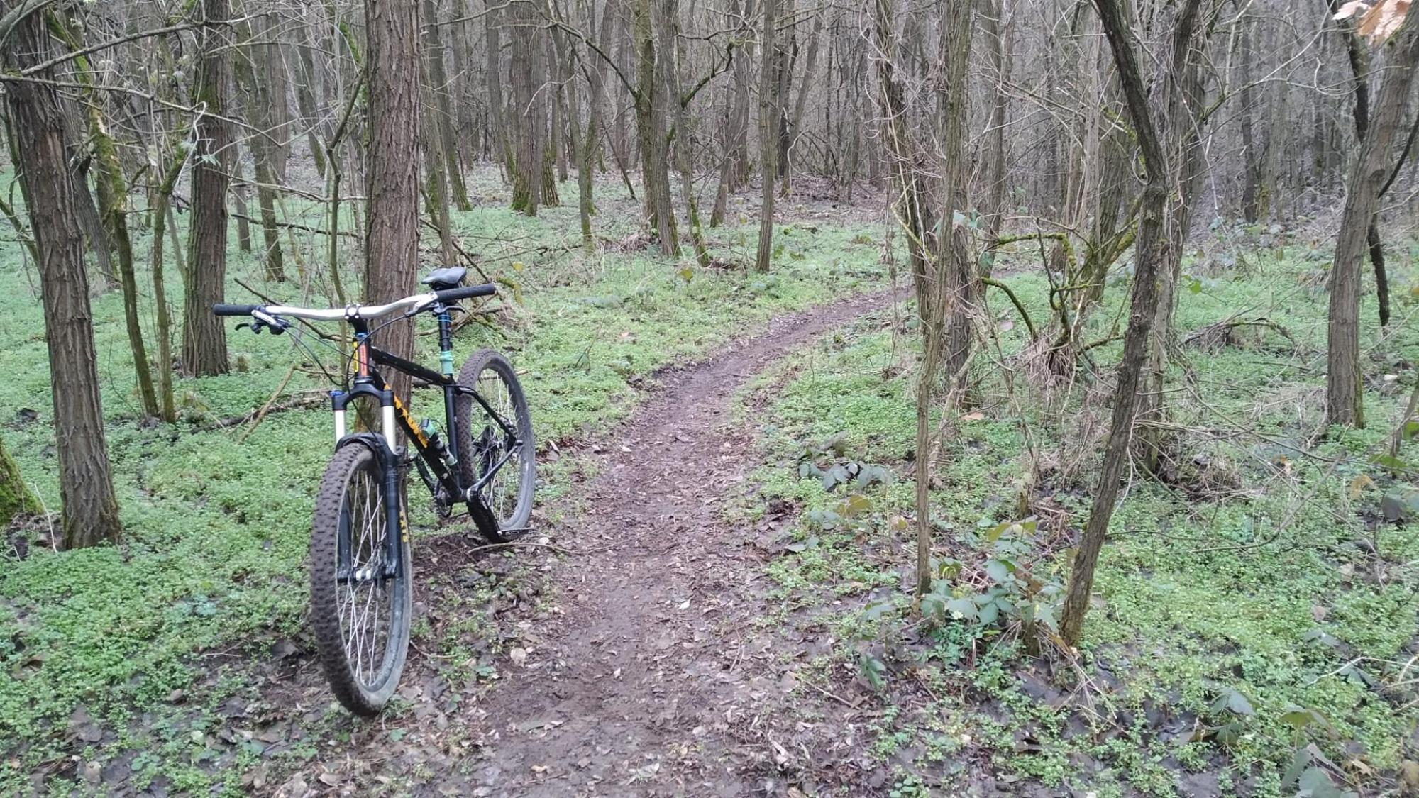 6947f24c0c65564e12f7fb9d.jpg?width=2000&