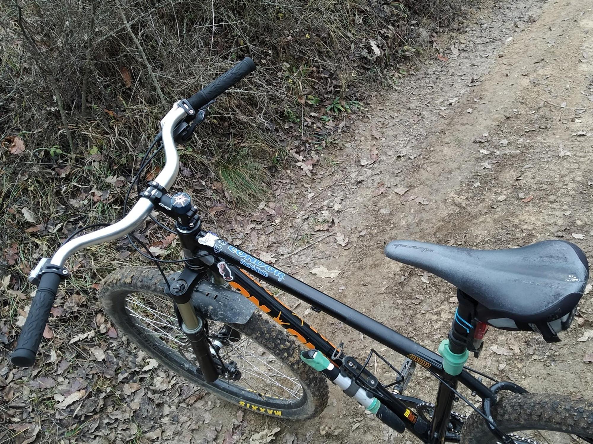 694d3f8566f41232c461d4db.jpg?width=2000&