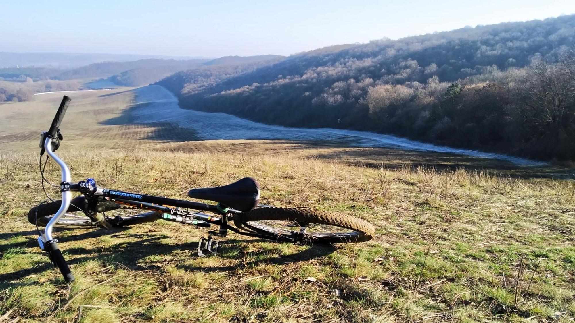 694fe238ffc876413c2cd4fc.jpg?width=2000&