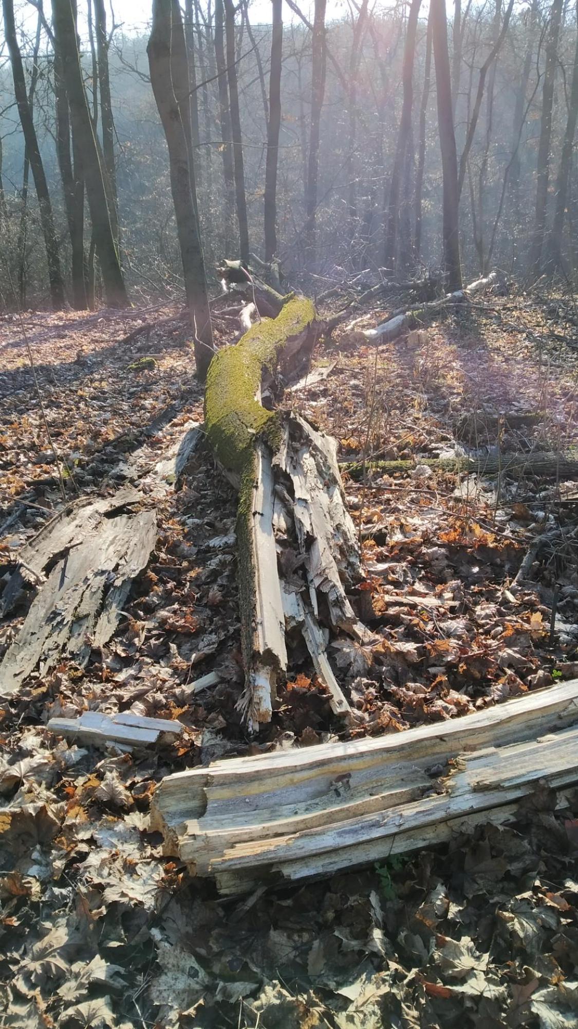 694fe23d3a1c982e2ecb1dc2.jpg?width=2000&