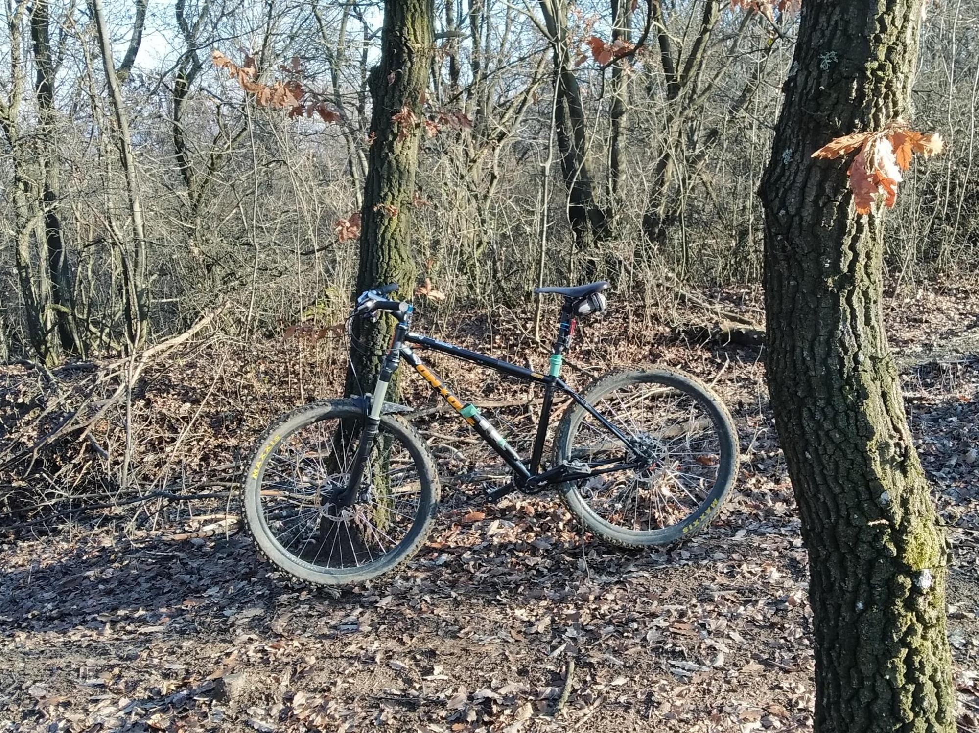 694fe23eb0c2f45b5e93b801.jpg?width=2000&