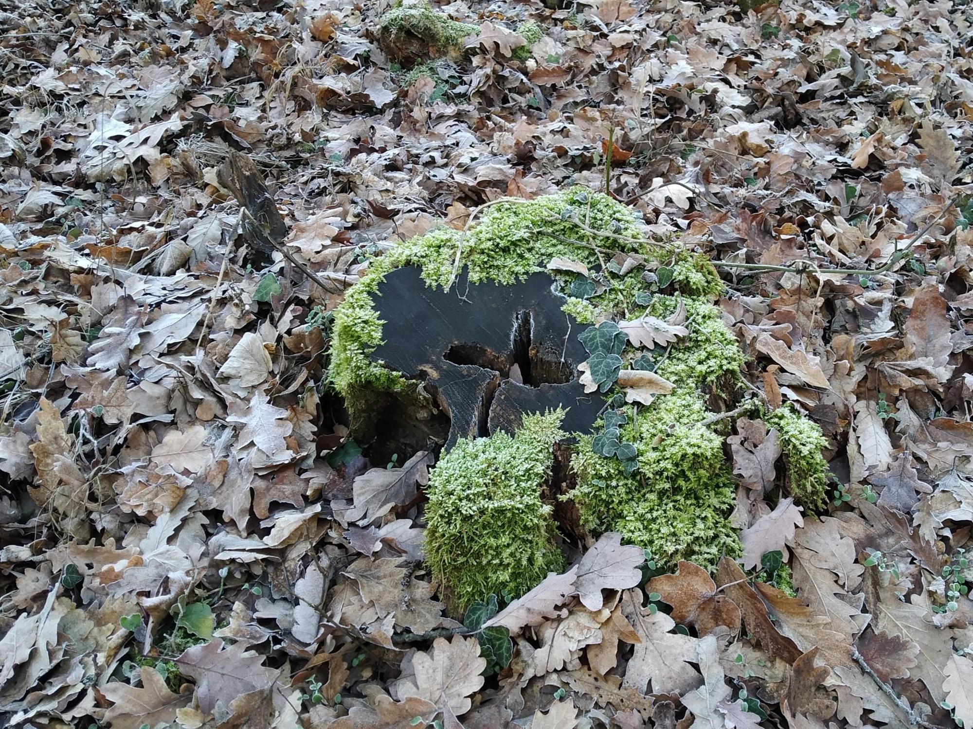 694fe23f88ddc556ce670756.jpg?width=2000&