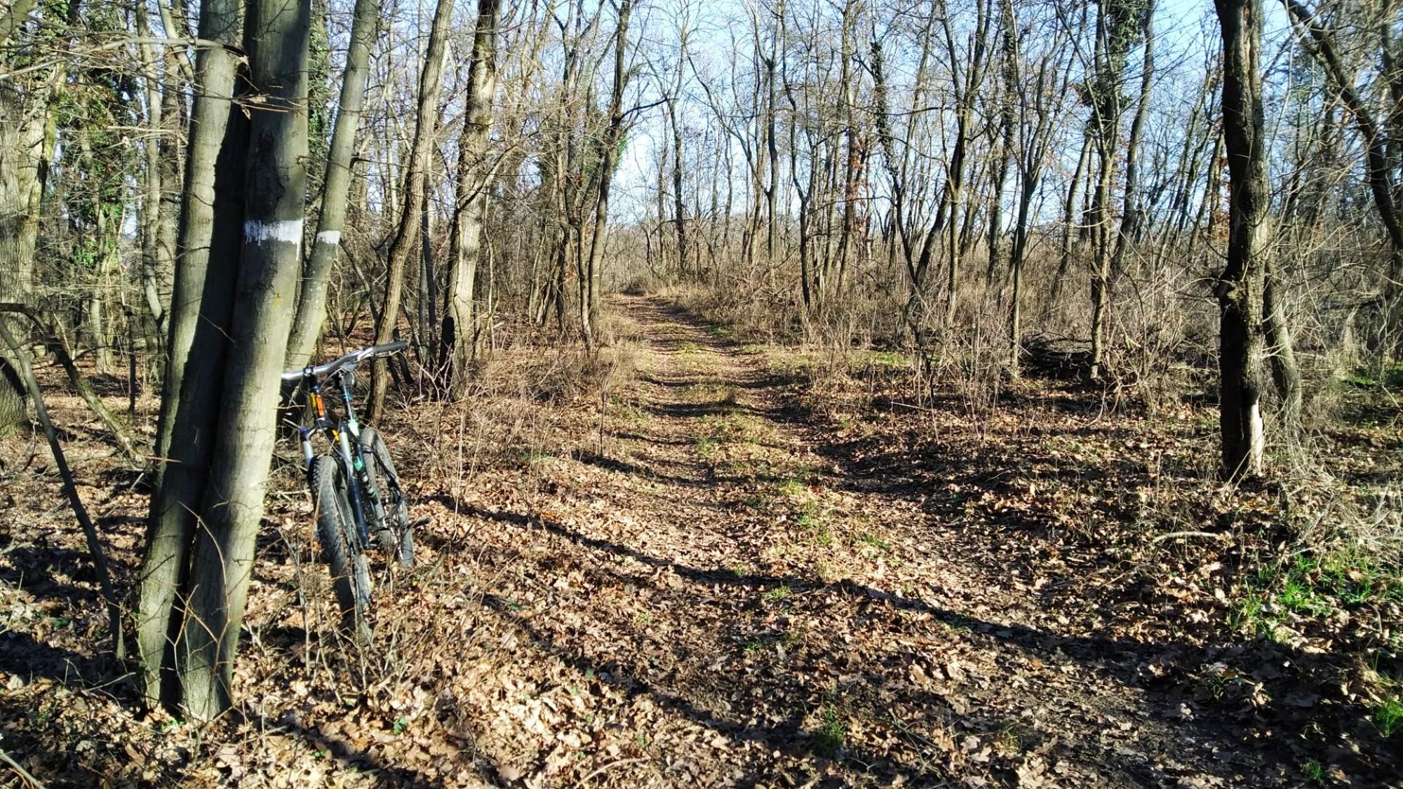 6953b8add389eb54bde40cd9.jpg?width=2000&