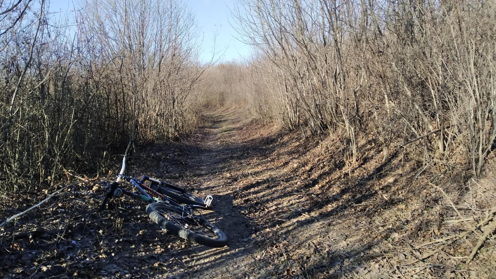 6953b8b2ee93174273c2ccb9.jpg?width=2000&