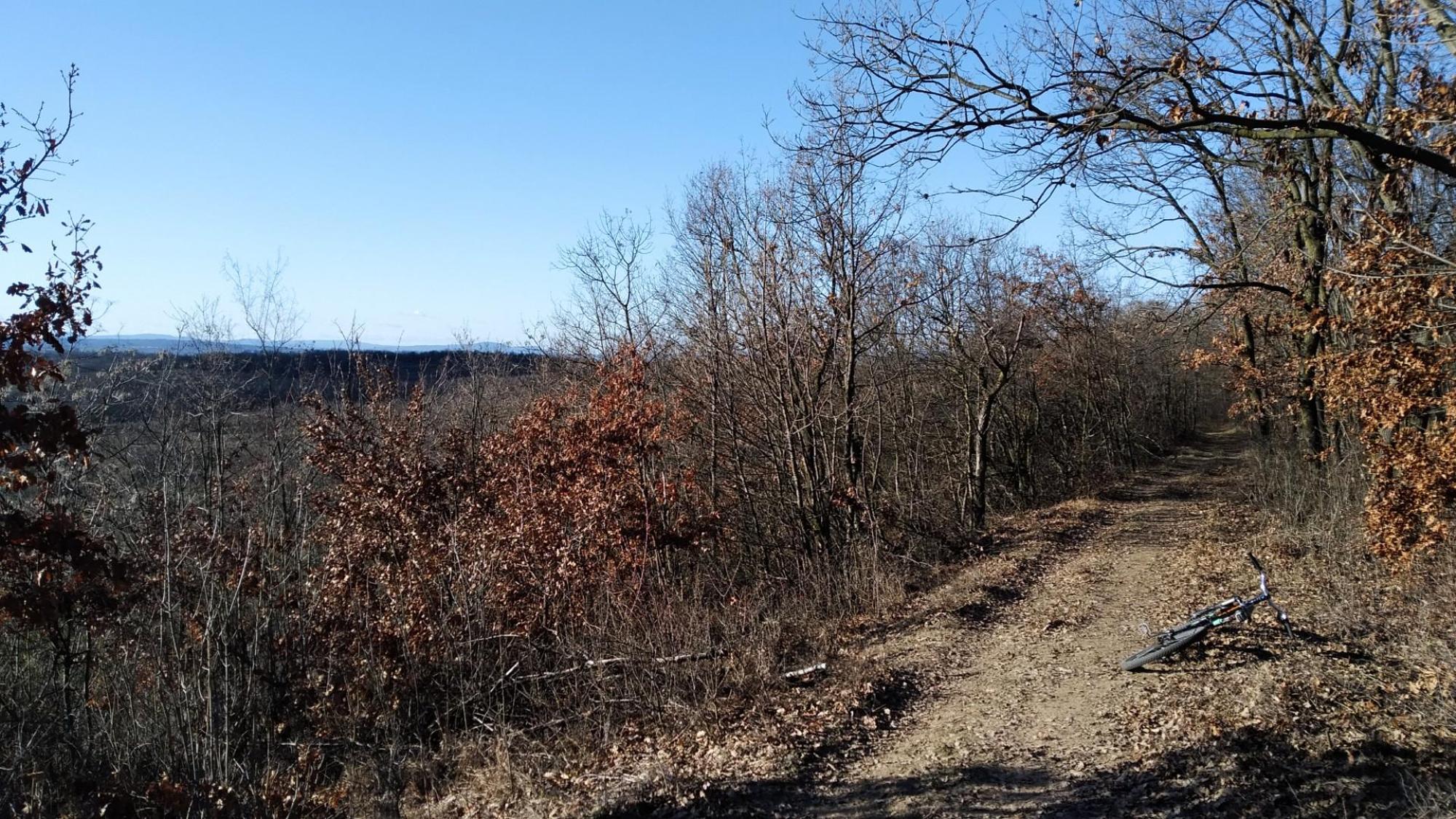 6953b8b7319ed93891f4d3c8.jpg?width=2000&