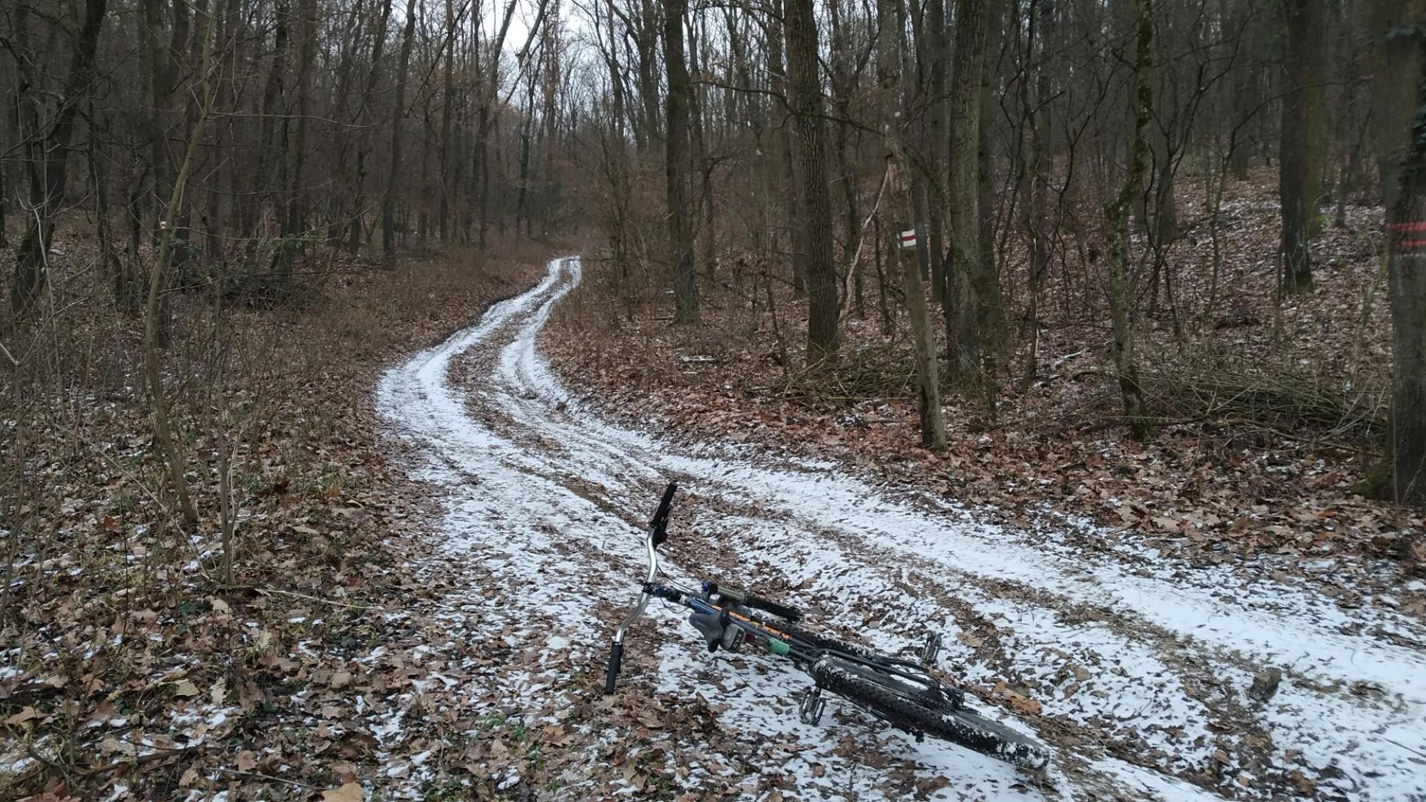 6957bc7a4fc28e2f2cc0386d.jpg?width=2000&