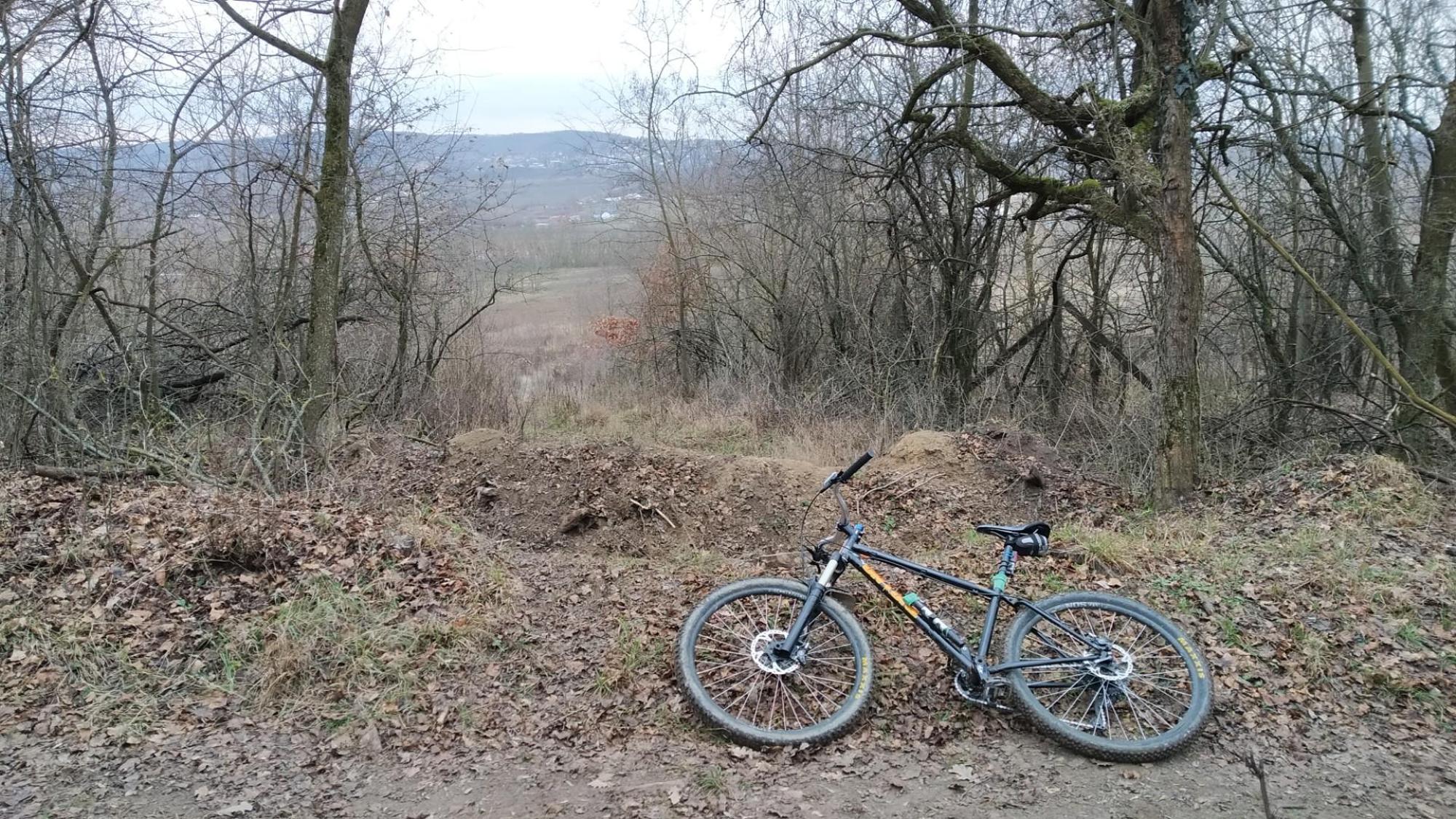 6957bc7e4fc28e2f2cc03889.jpg?width=2000&