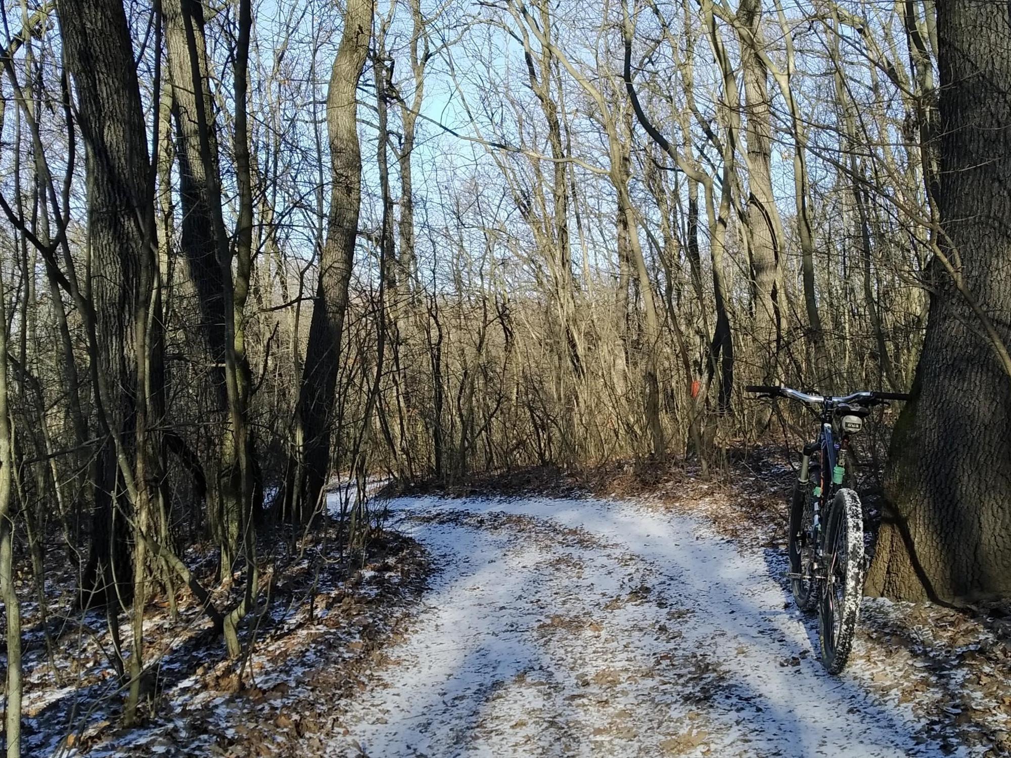 695a6883442fc13ca0bd71dd.jpg?width=2000&