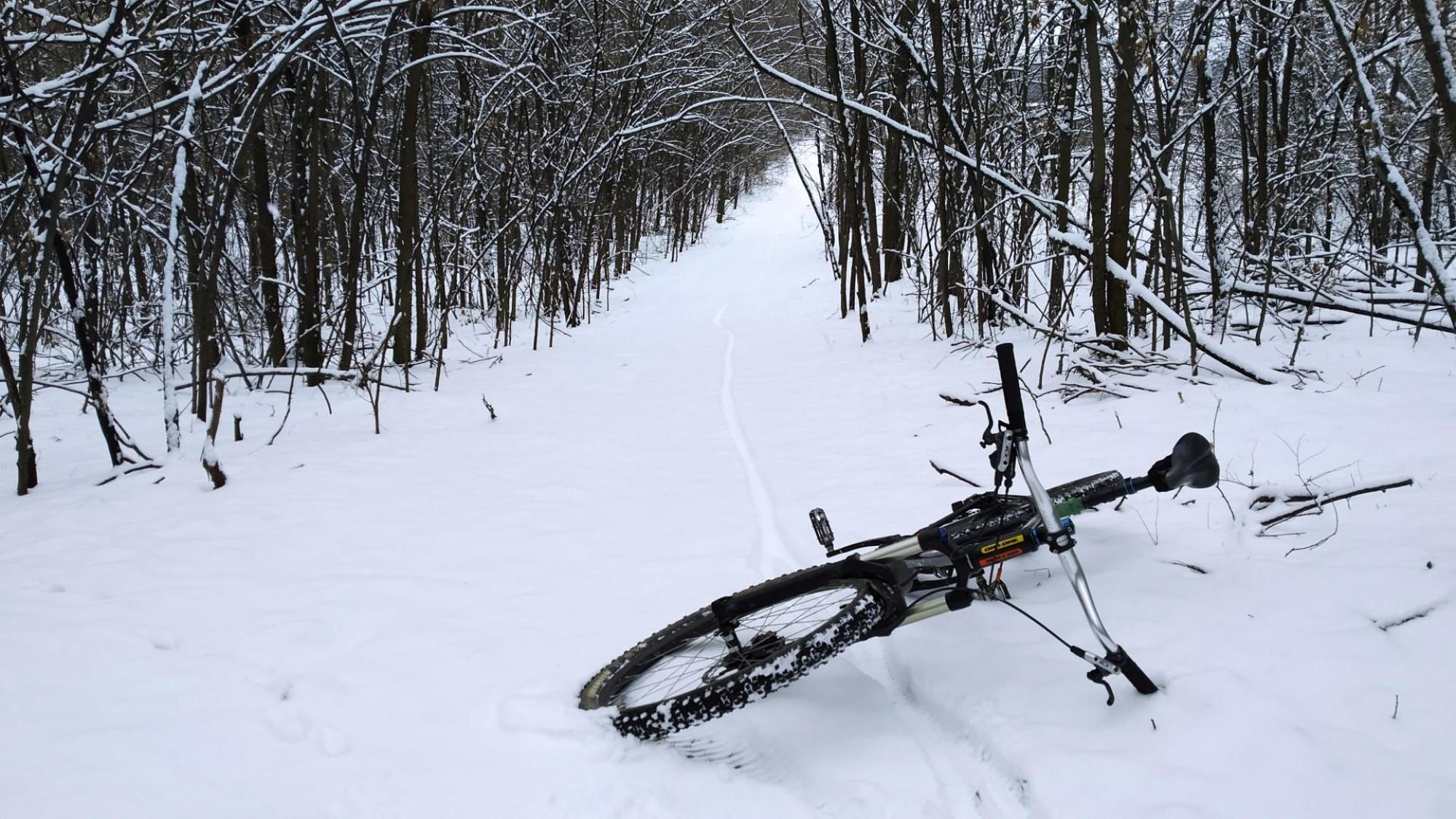 695d0badc6f0043f0c869221.jpg?width=2000&