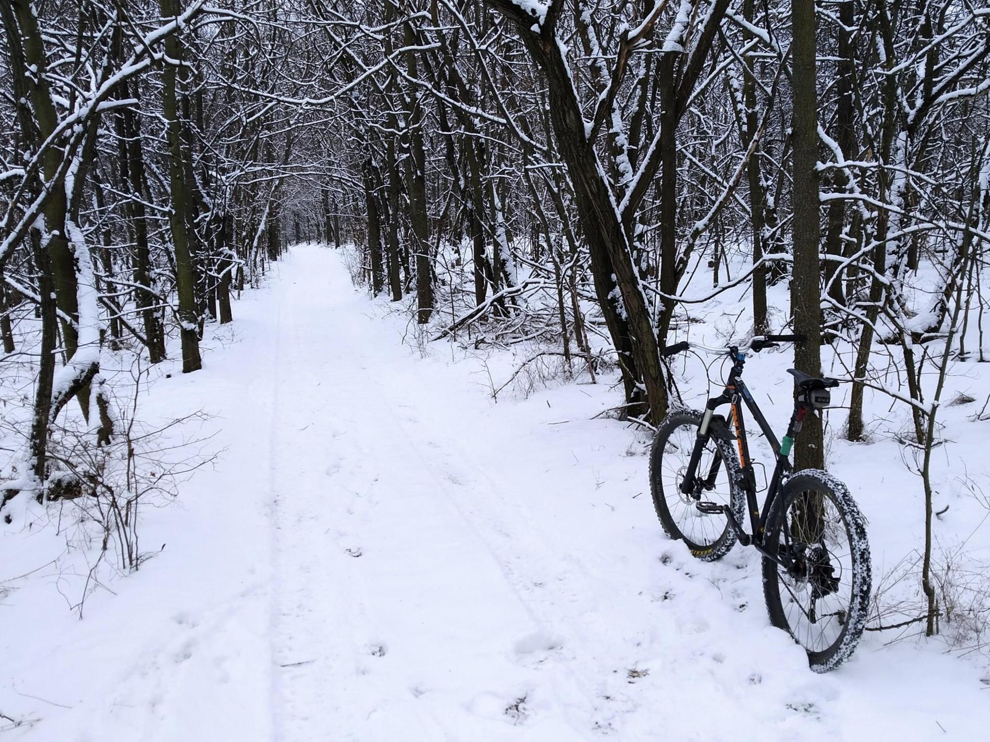 695d0bb18ad32c66dd31b7f9.jpg?width=2000&