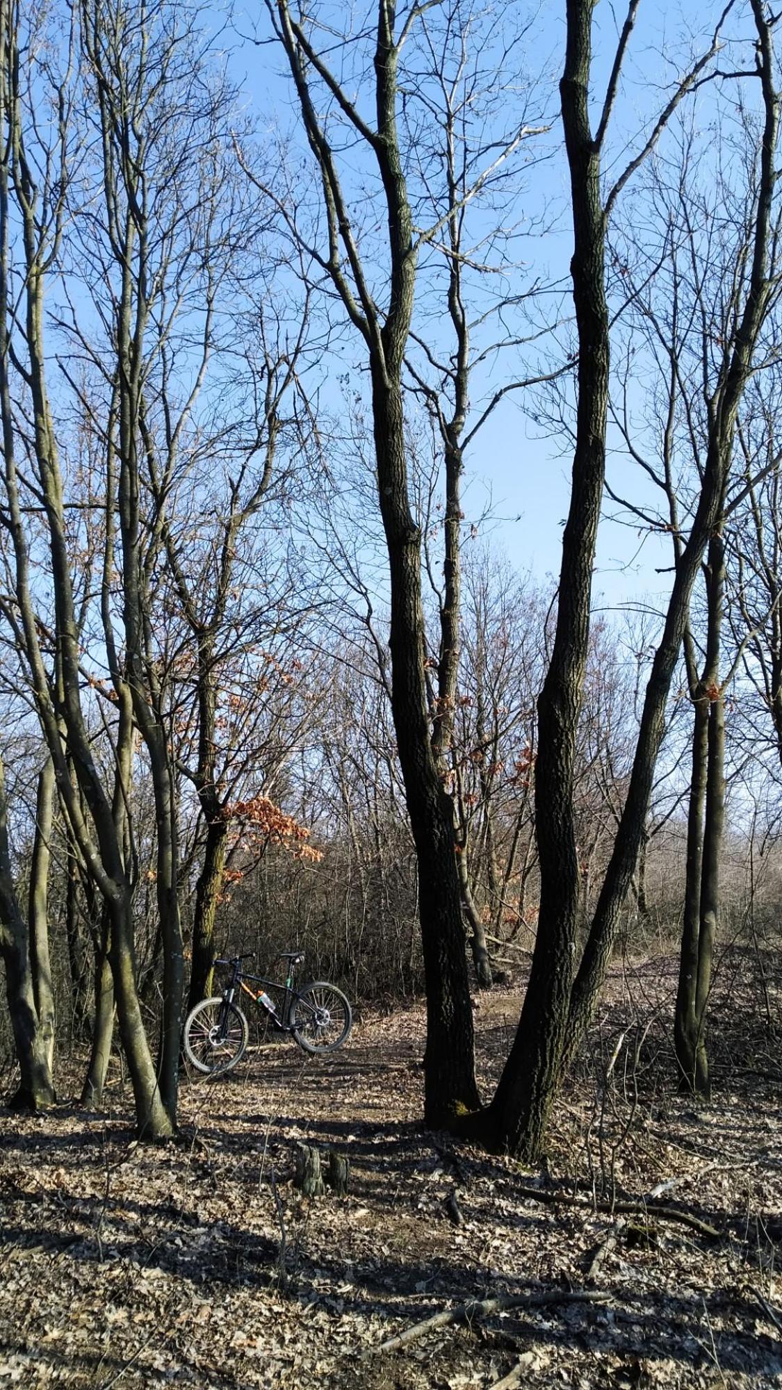 69a46a7dcd94c75d1aafc159.jpg?width=2000&