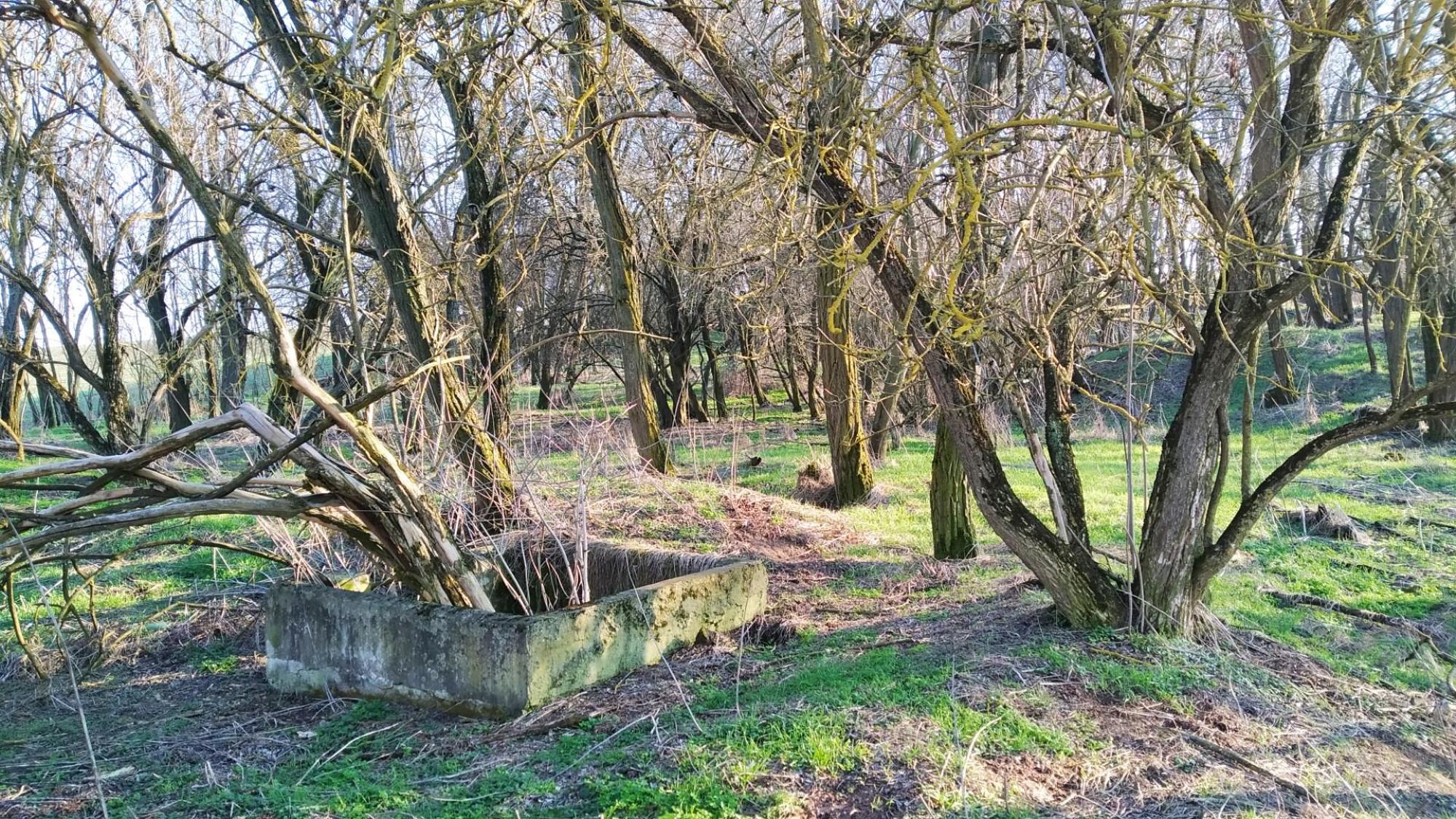 69a46a7f492dee227df31557.jpg?width=2000&