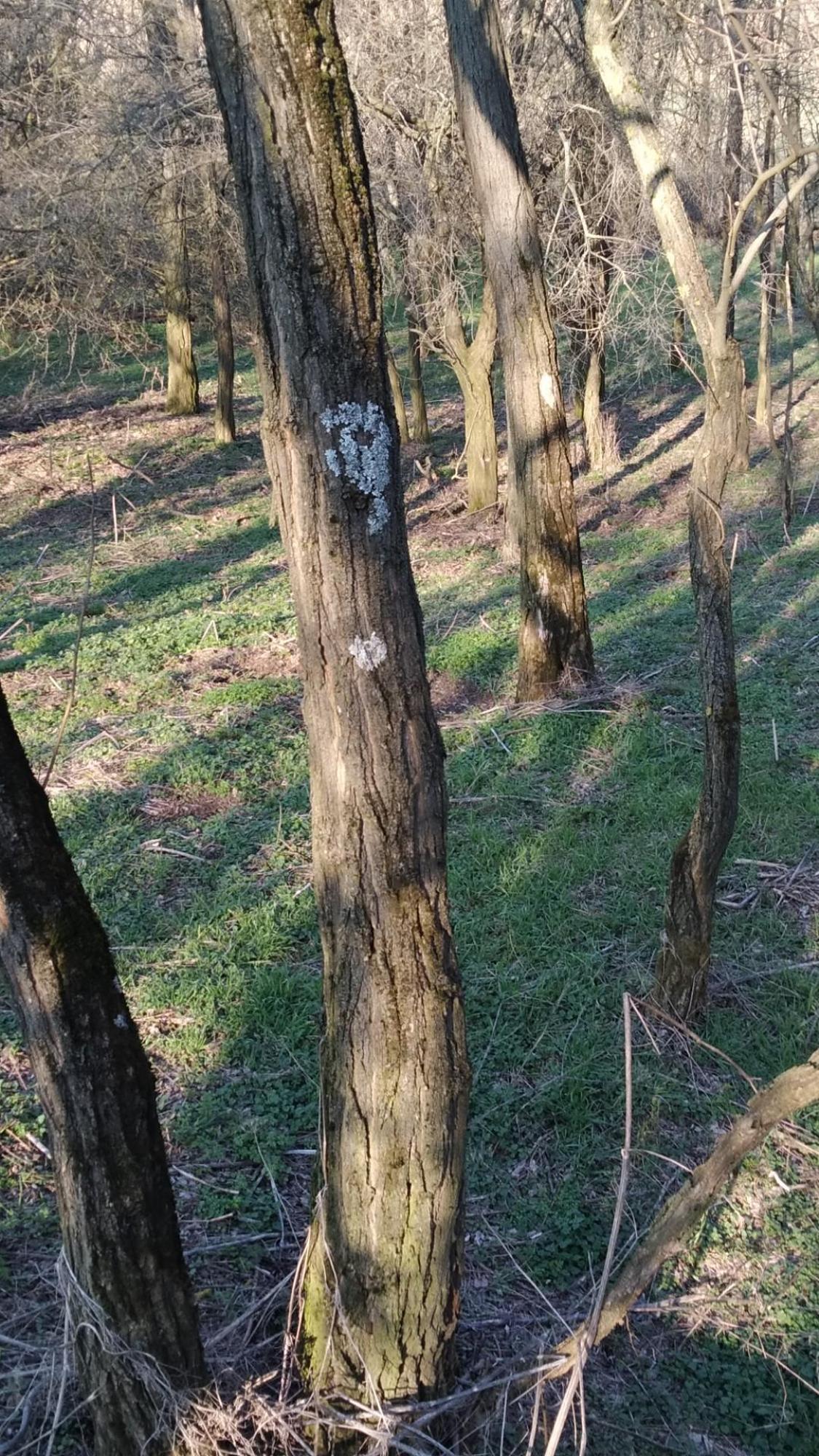 69a46a84c329af46ef69f6b1.jpg?width=2000&