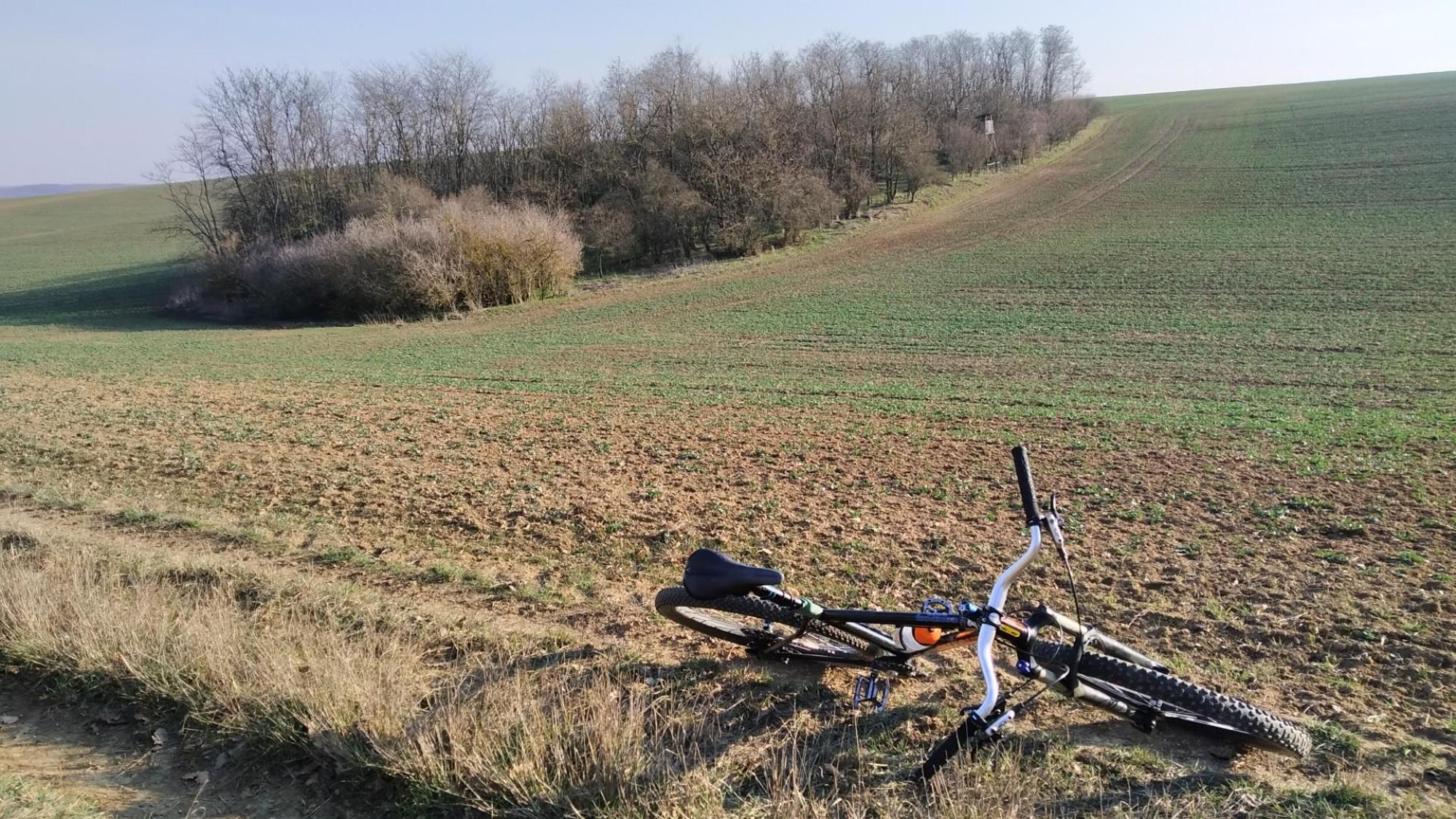 69a46a894ff47446f7e3b88f.jpg?width=2000&