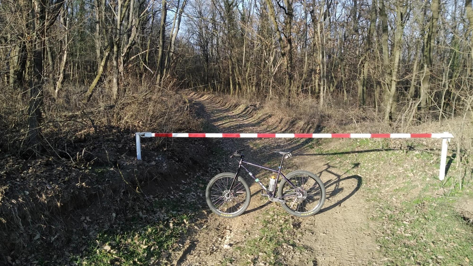 69ab026918111550fd8acfc2.jpg?width=2000&