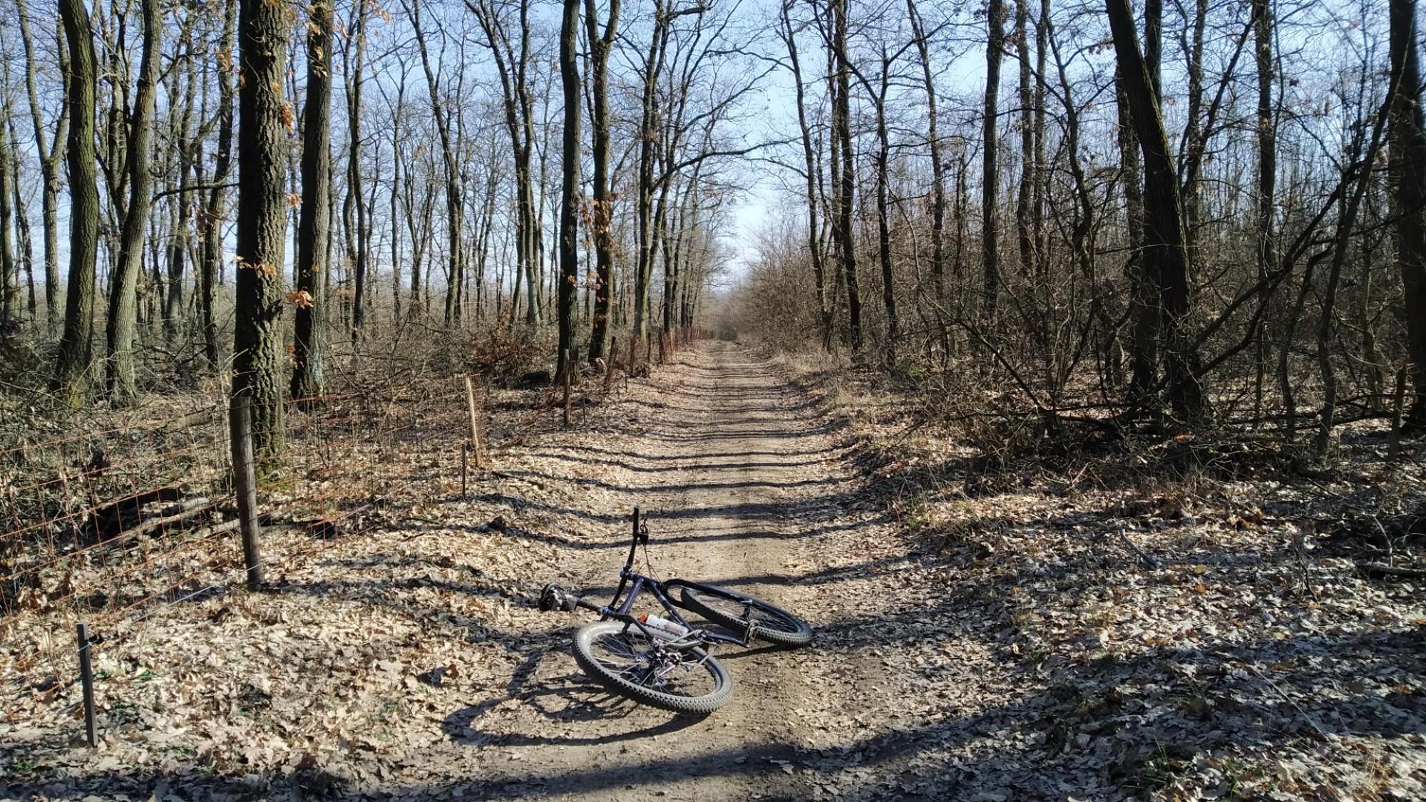 69ac39826cad826ba4ec962e.jpg?width=2000&