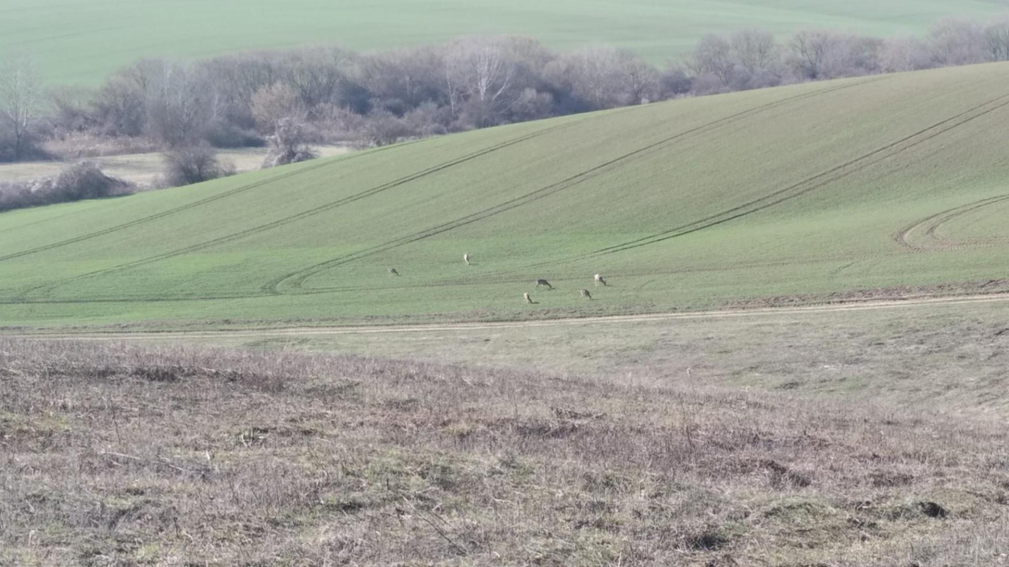 69ac398c5488a76d97e52607.jpg?width=2000&