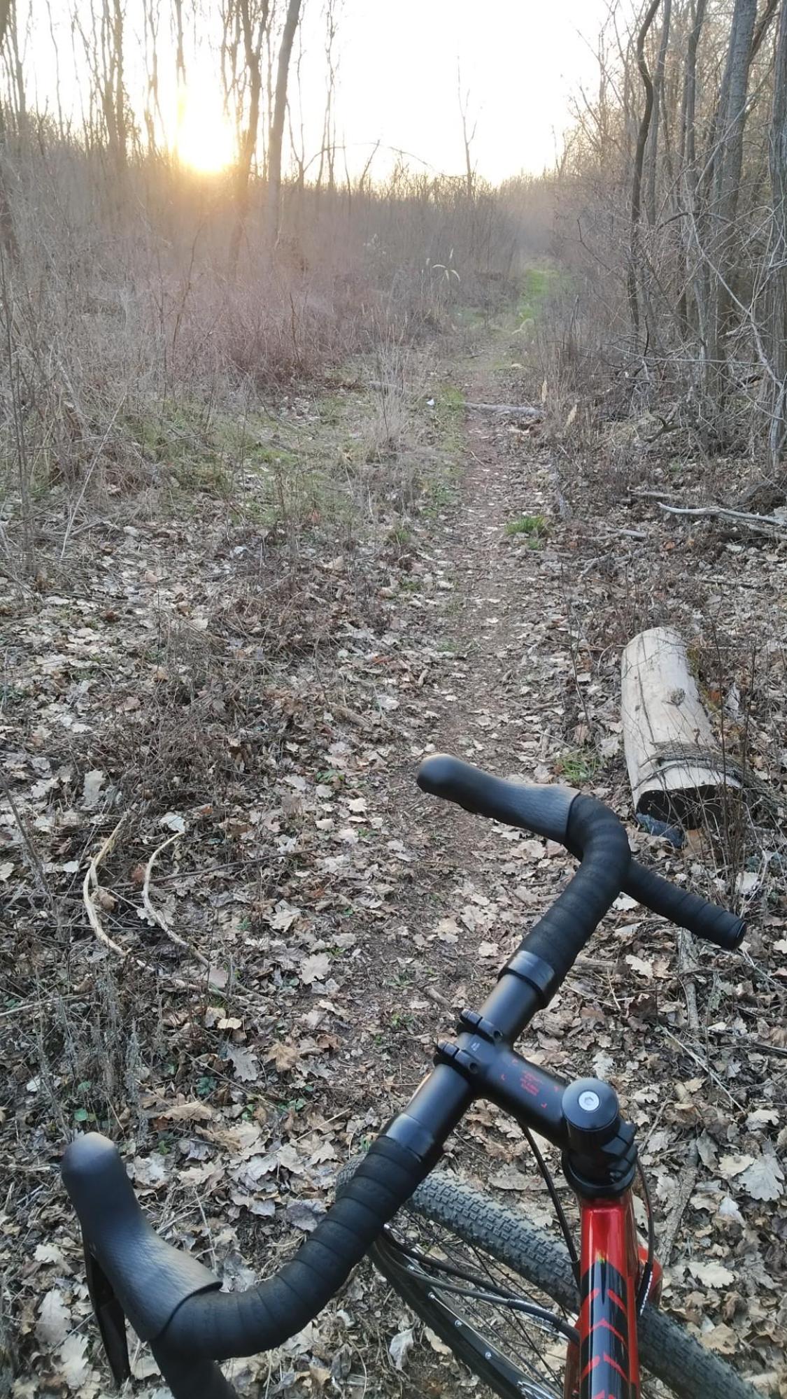 69af0318cf4f9502df052d88.jpg?width=2000&