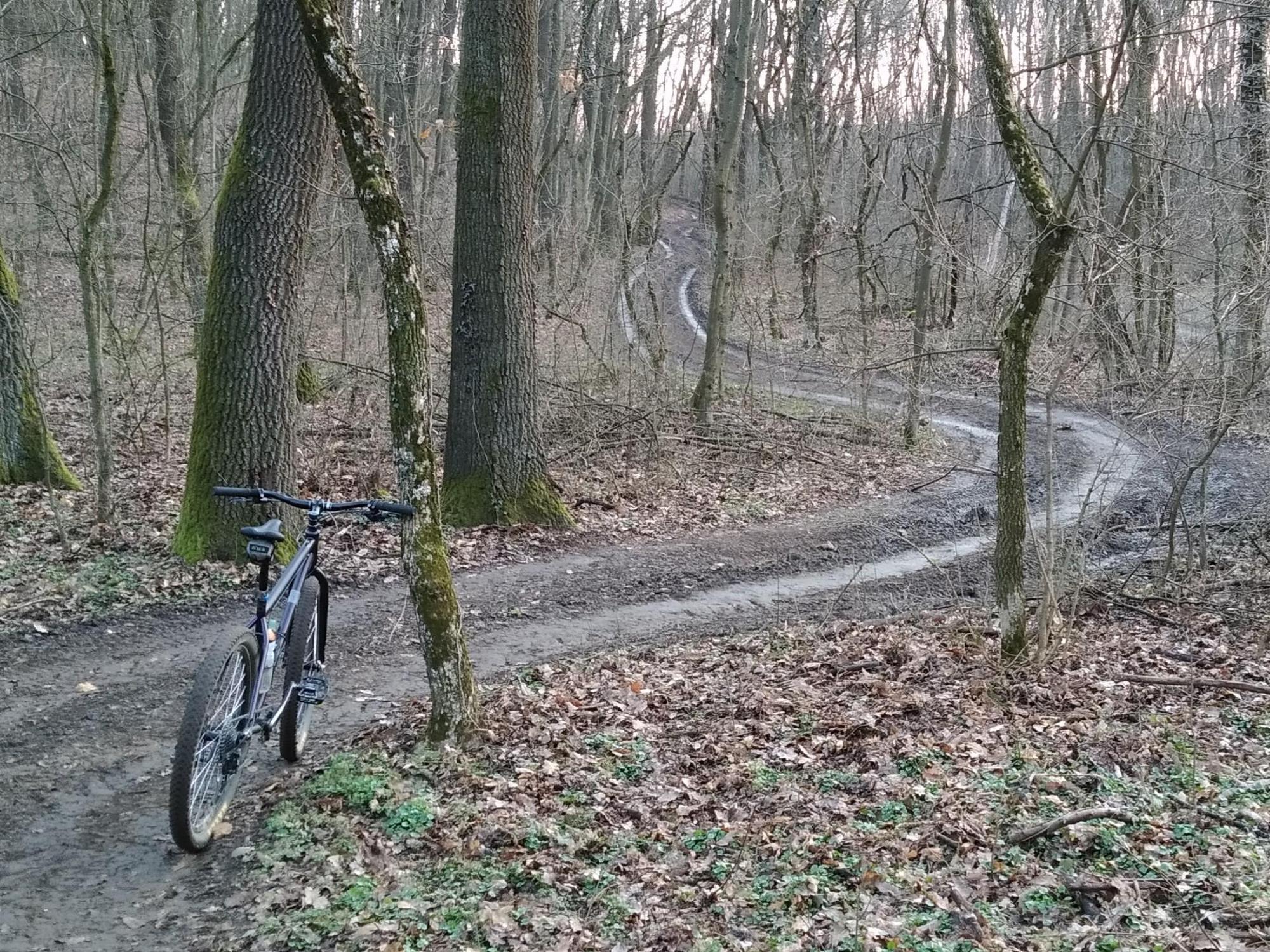 69b449d89be6050cff281049.jpg?width=2000&