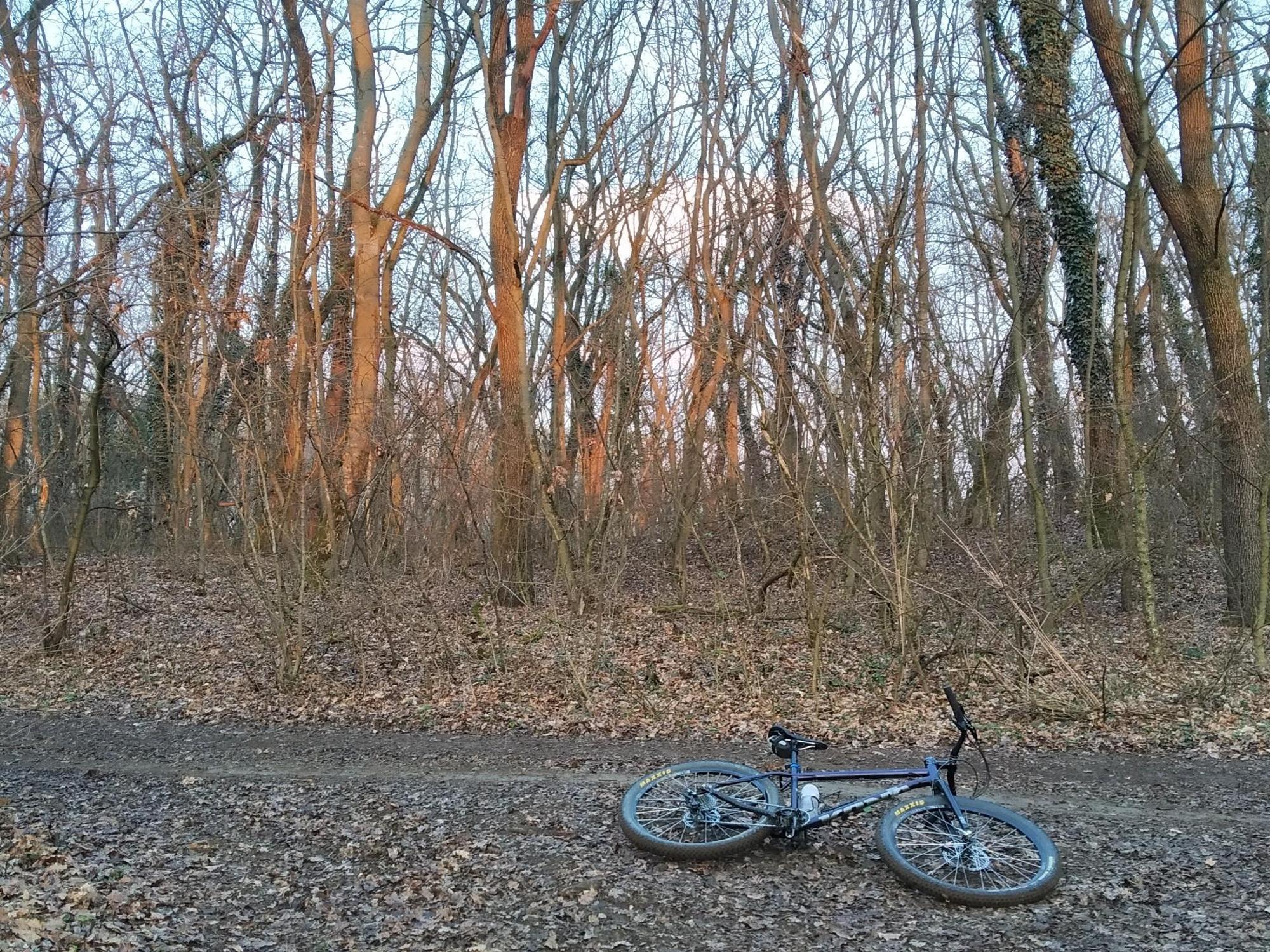 69b449ddd1a87b6990abe182.jpg?width=2000&