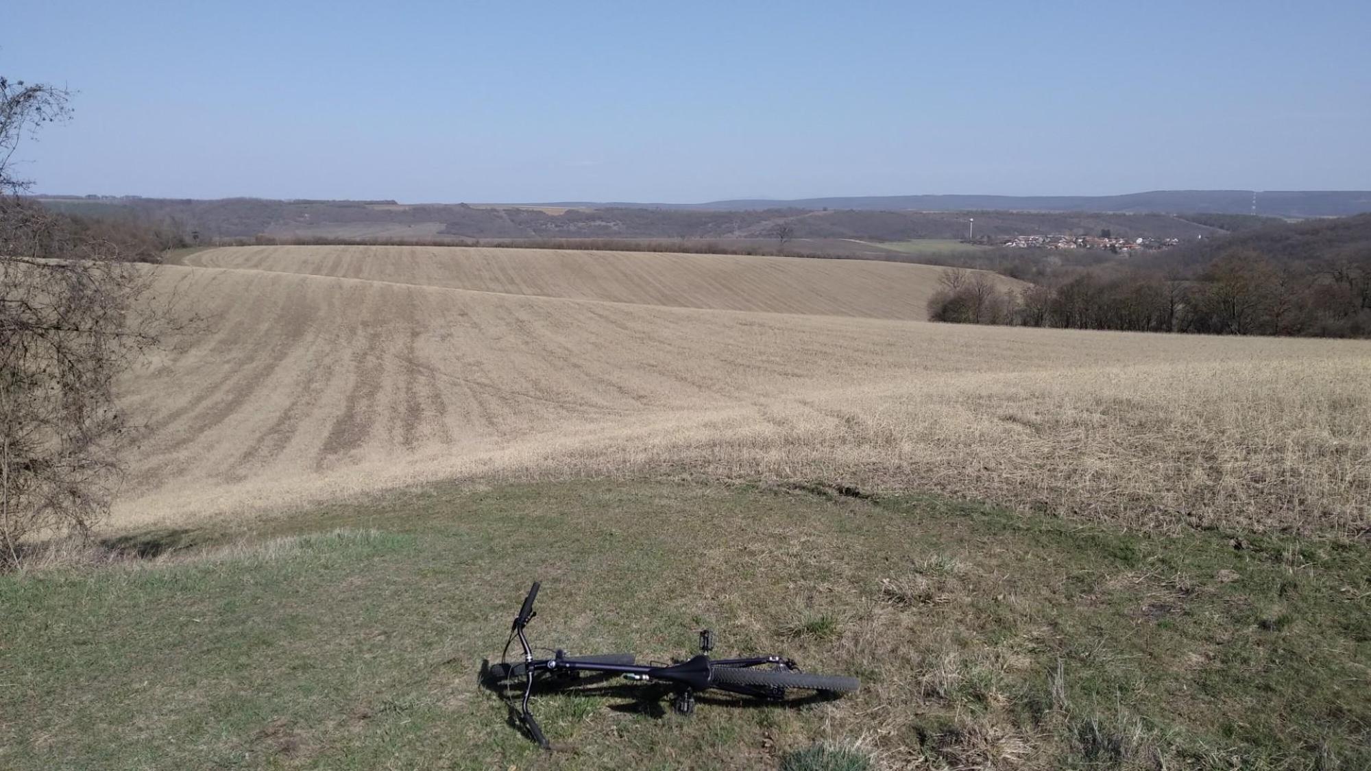 69b55bd1aa6072696cdcf564.jpg?width=2000&