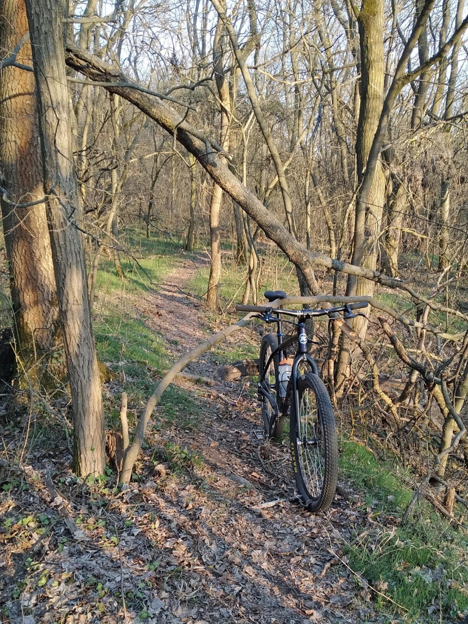 69b6e21e507962284894a5a6.jpg?width=2000&