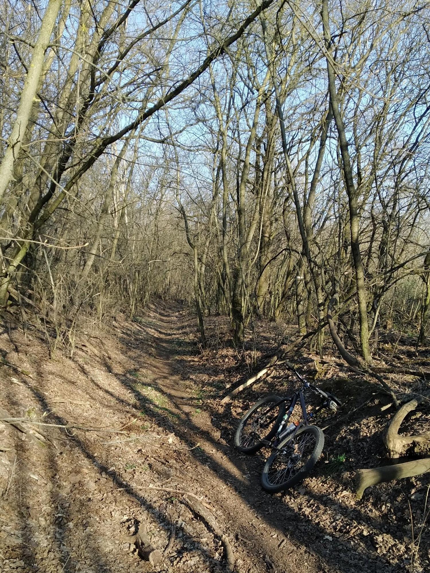 69b6e2208564b309cb6829d3.jpg?width=2000&