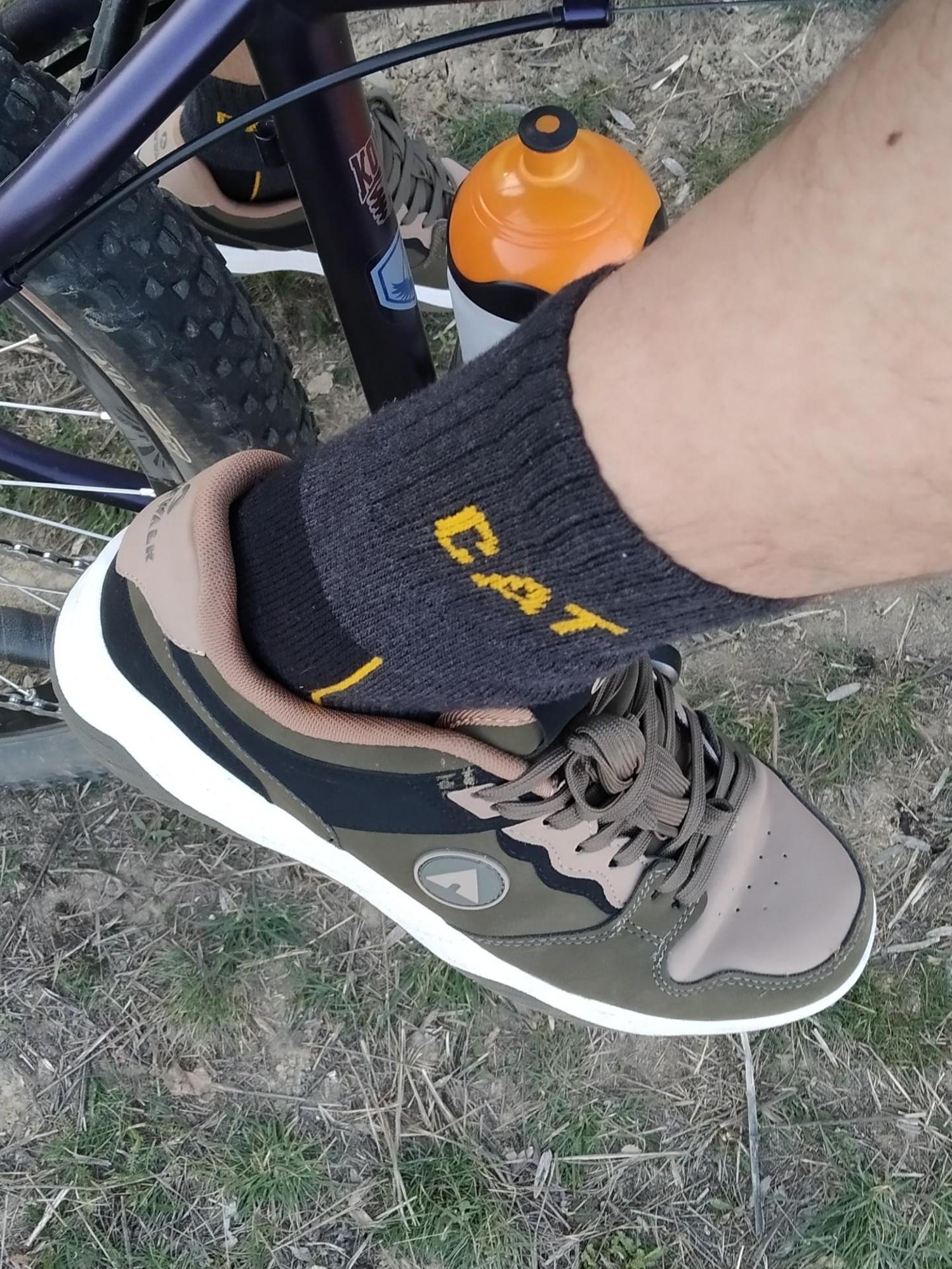 69b6e2269d3469110625ce9f.jpg?width=2000&