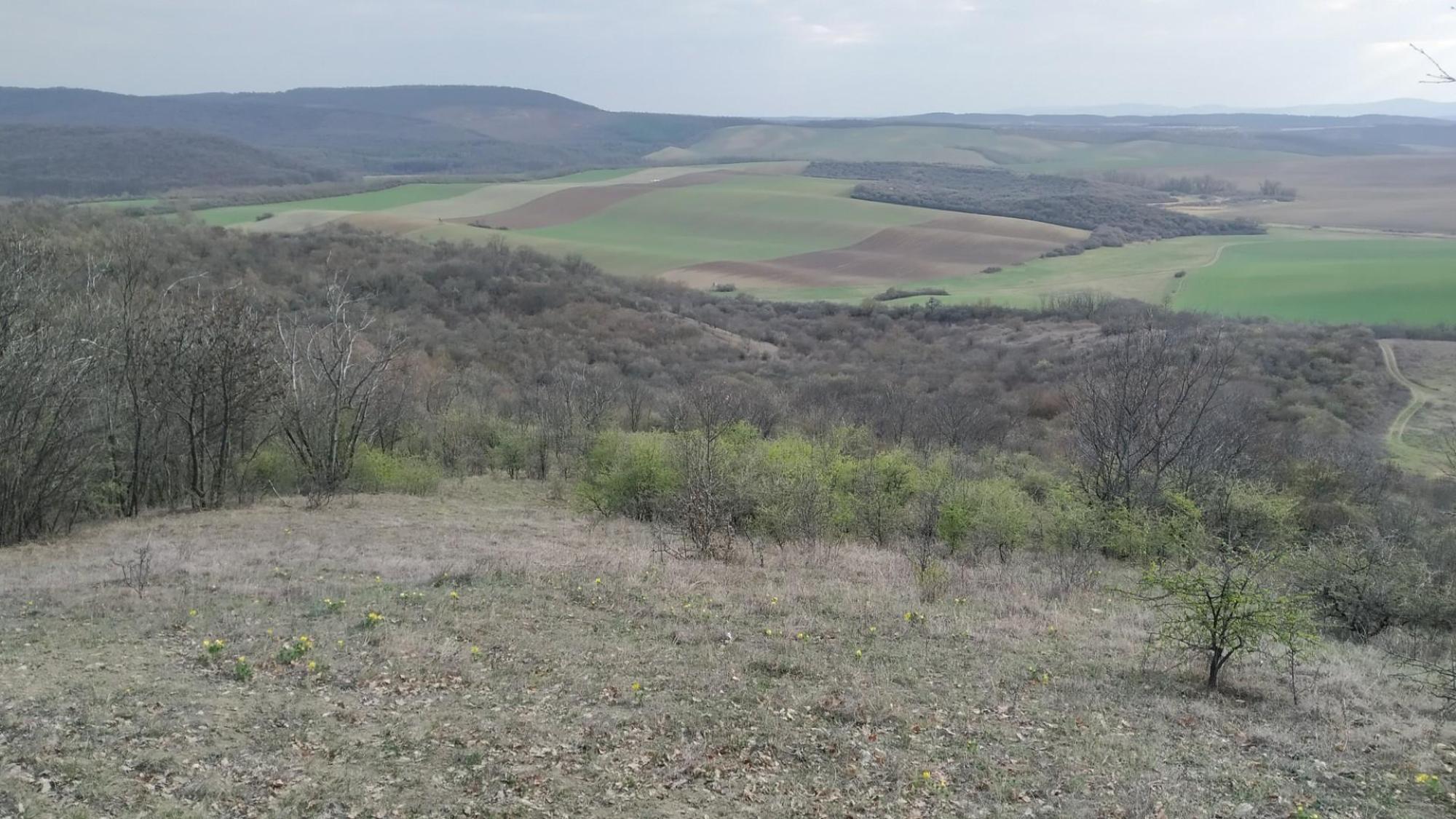 69bd87c70adce52c2583981e.jpg?width=2000&