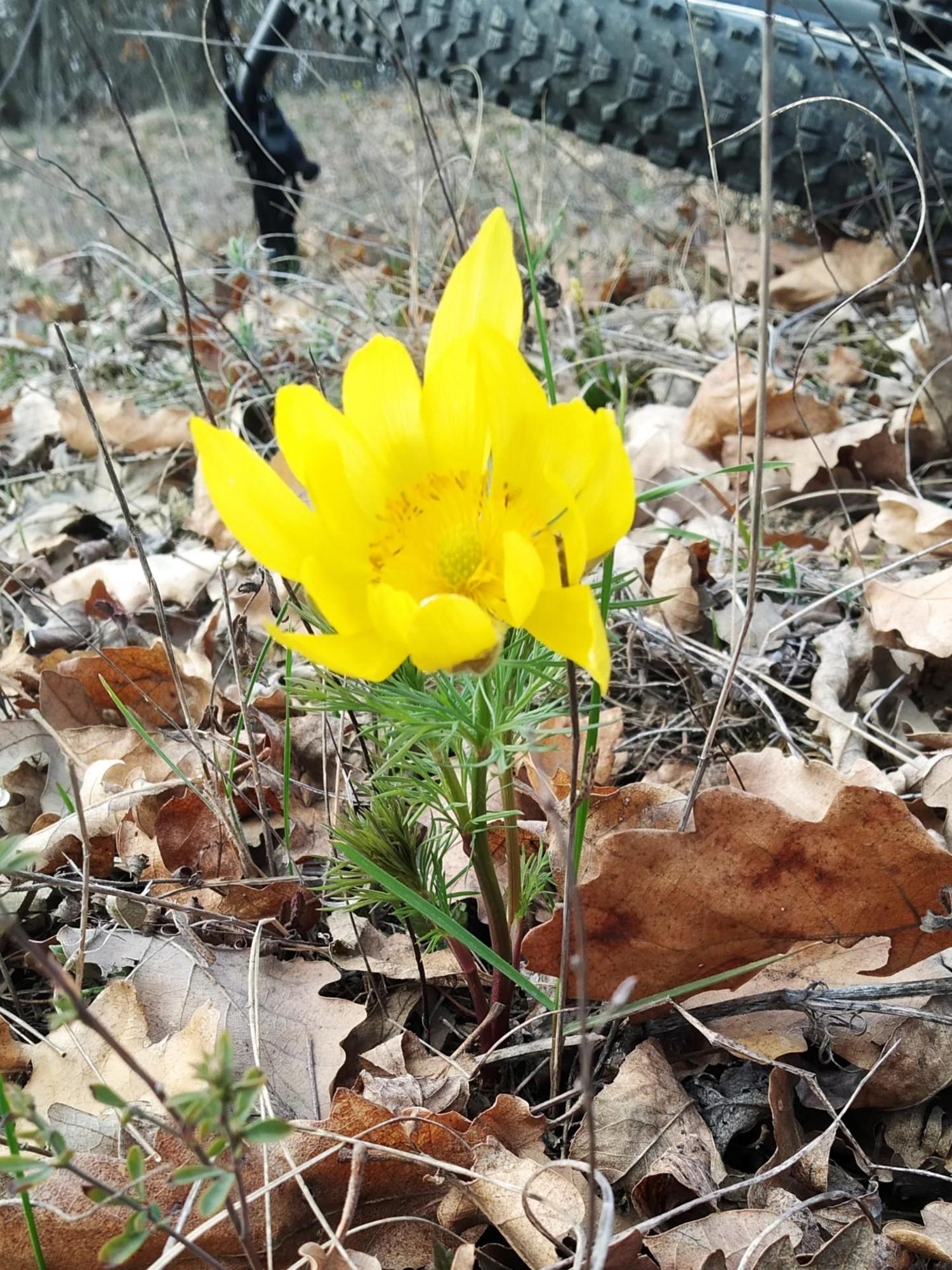 69bd87c90adc1c4064452578.jpg?width=2000&