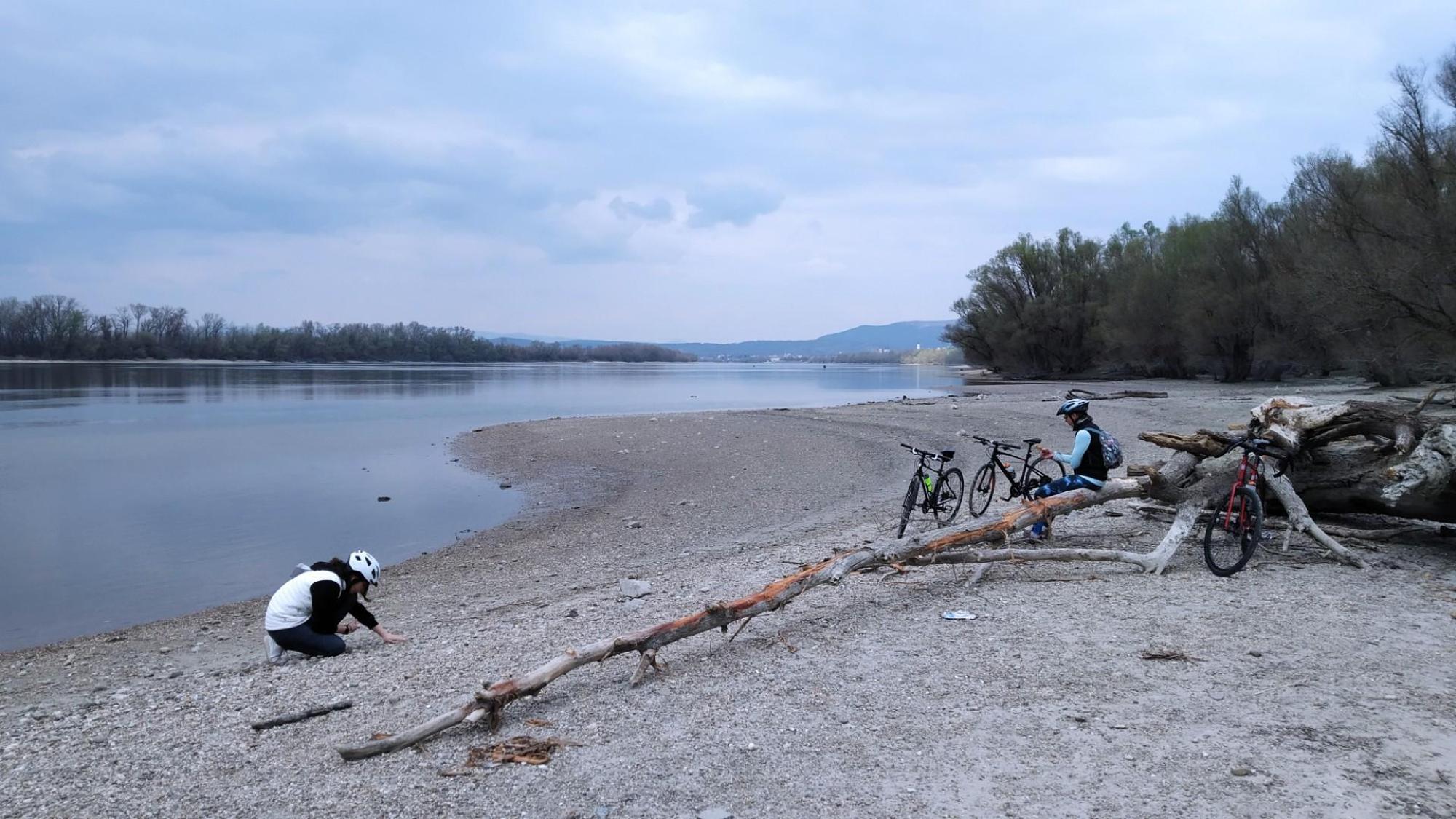 69bec39d617a8f7bc8daec02.jpg?width=2000&