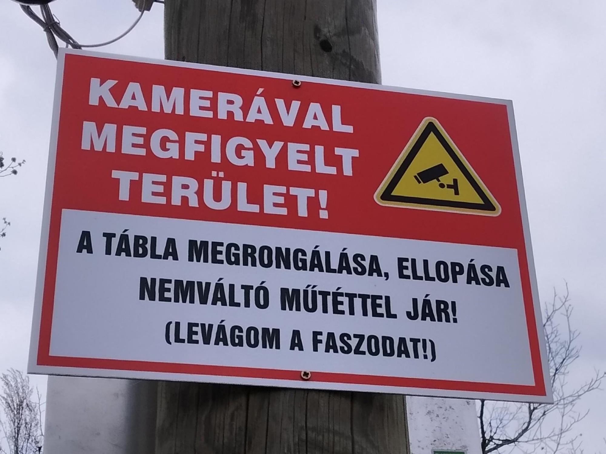 69bec3a71ace4a3c73150eaf.jpg?width=2000&