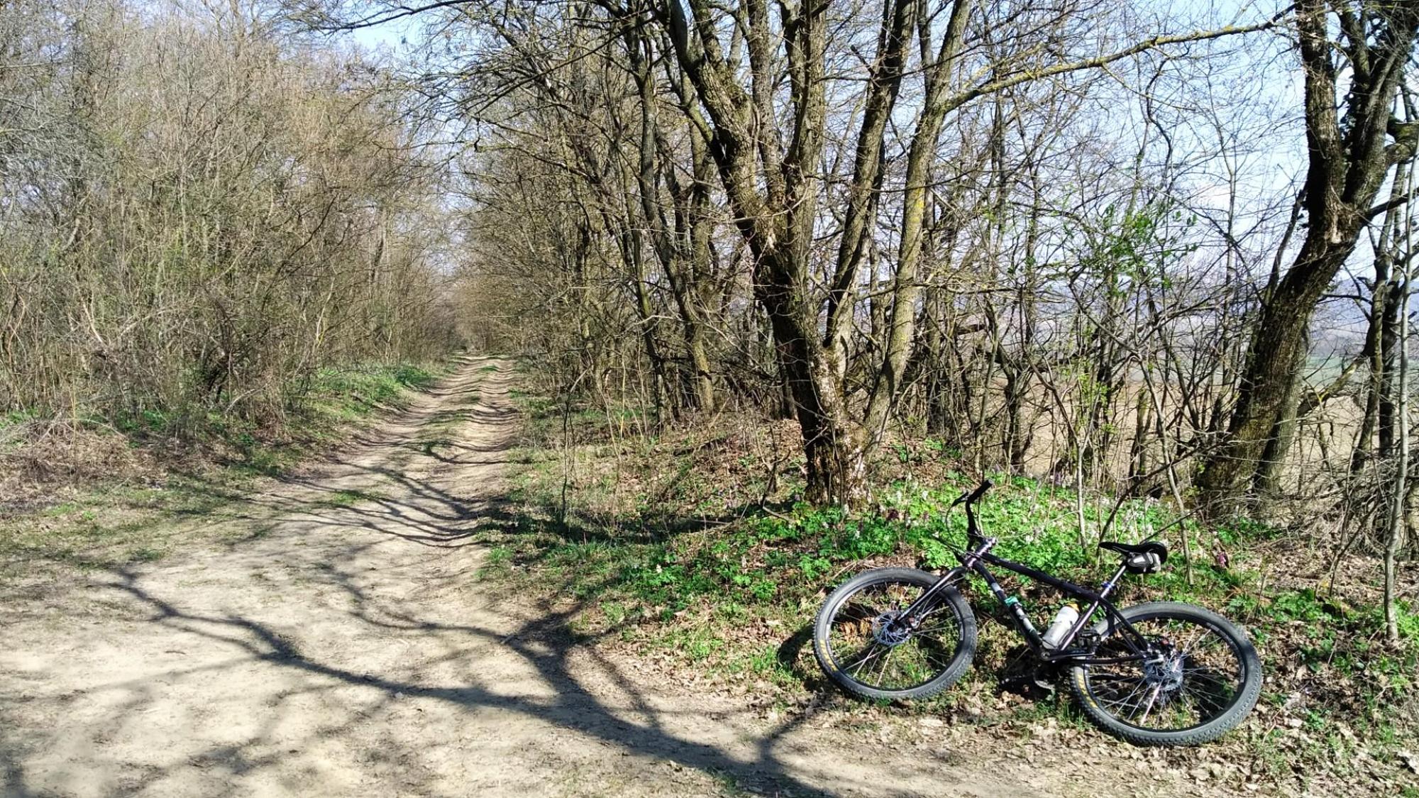 69bfe9cabc78d46d736c4365.jpg?width=2000&