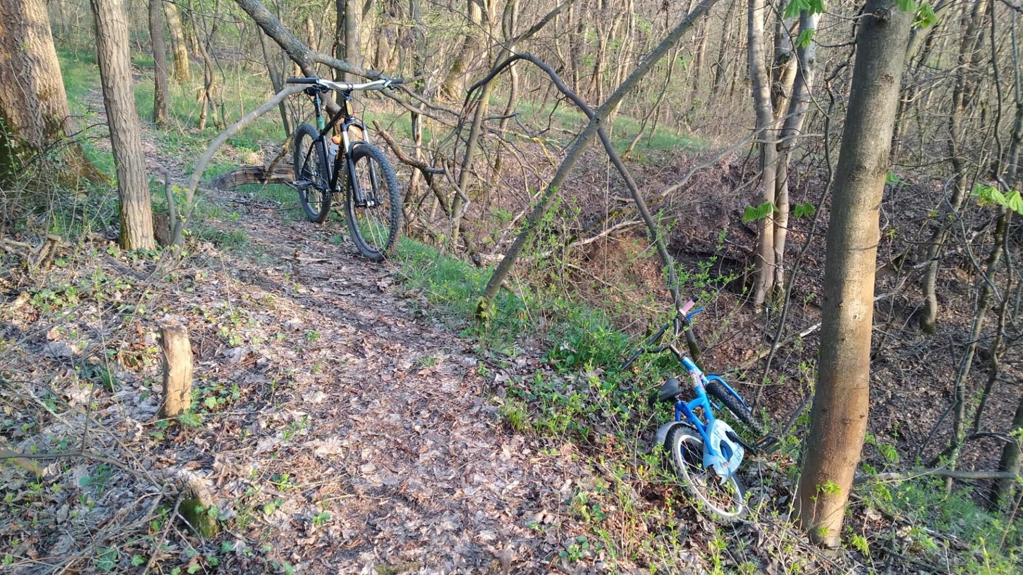 69cea5f7995526132ed96511.jpg?width=2000&