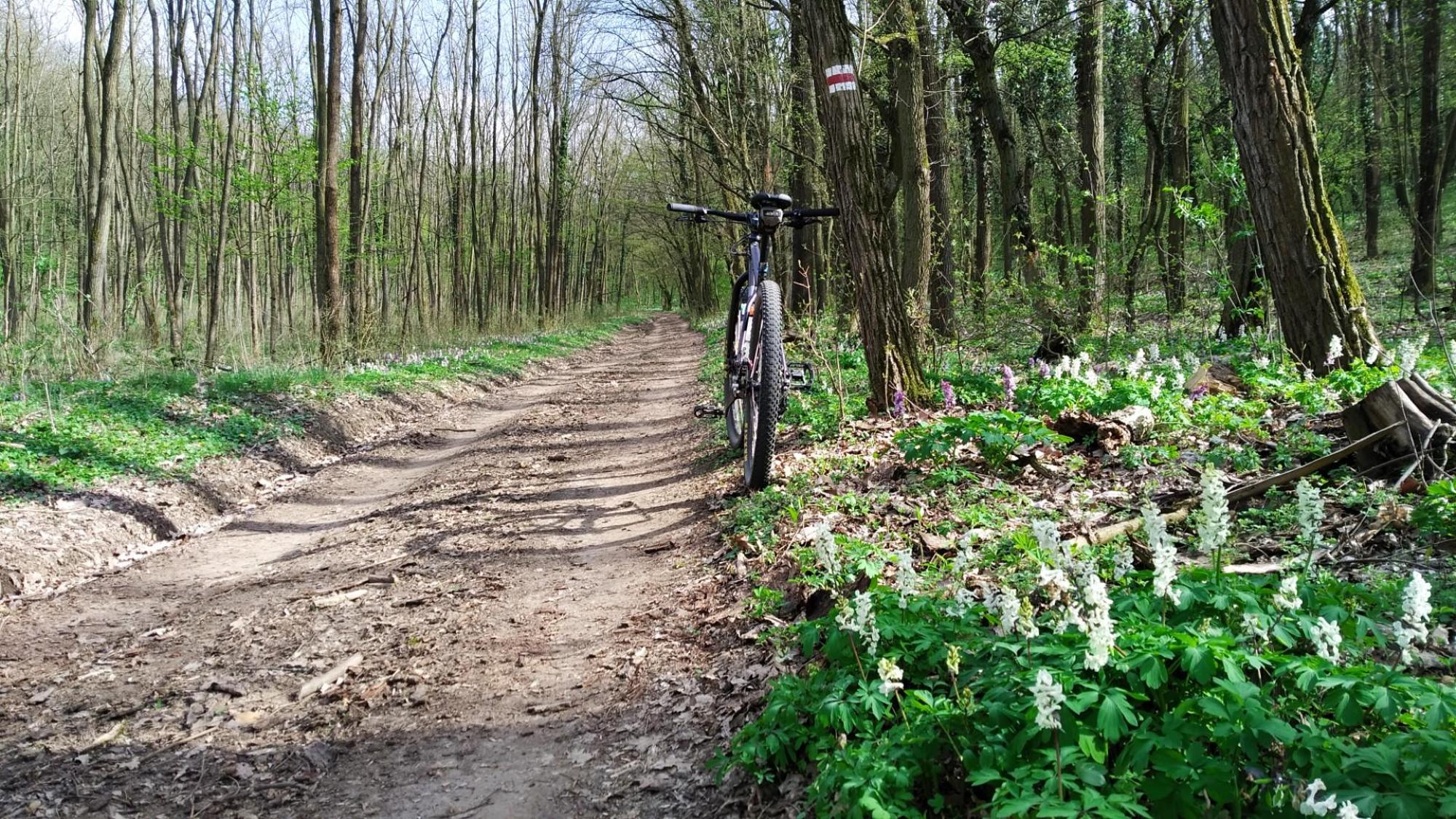 69d1391379ffe82869ac61f8.jpg?width=2000&