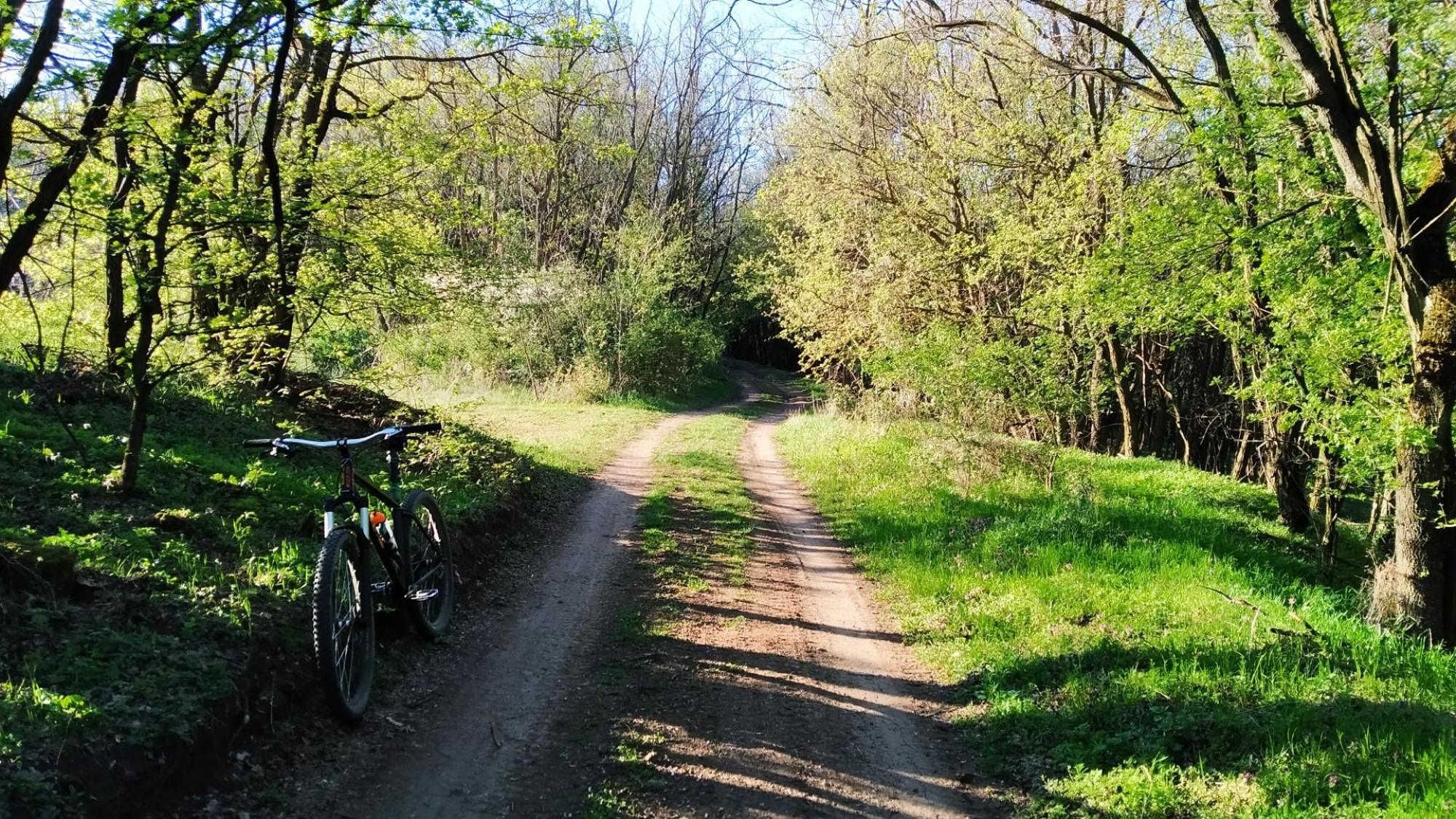 69d2a9b558792e4e77a0dd0b.jpg?width=2000&