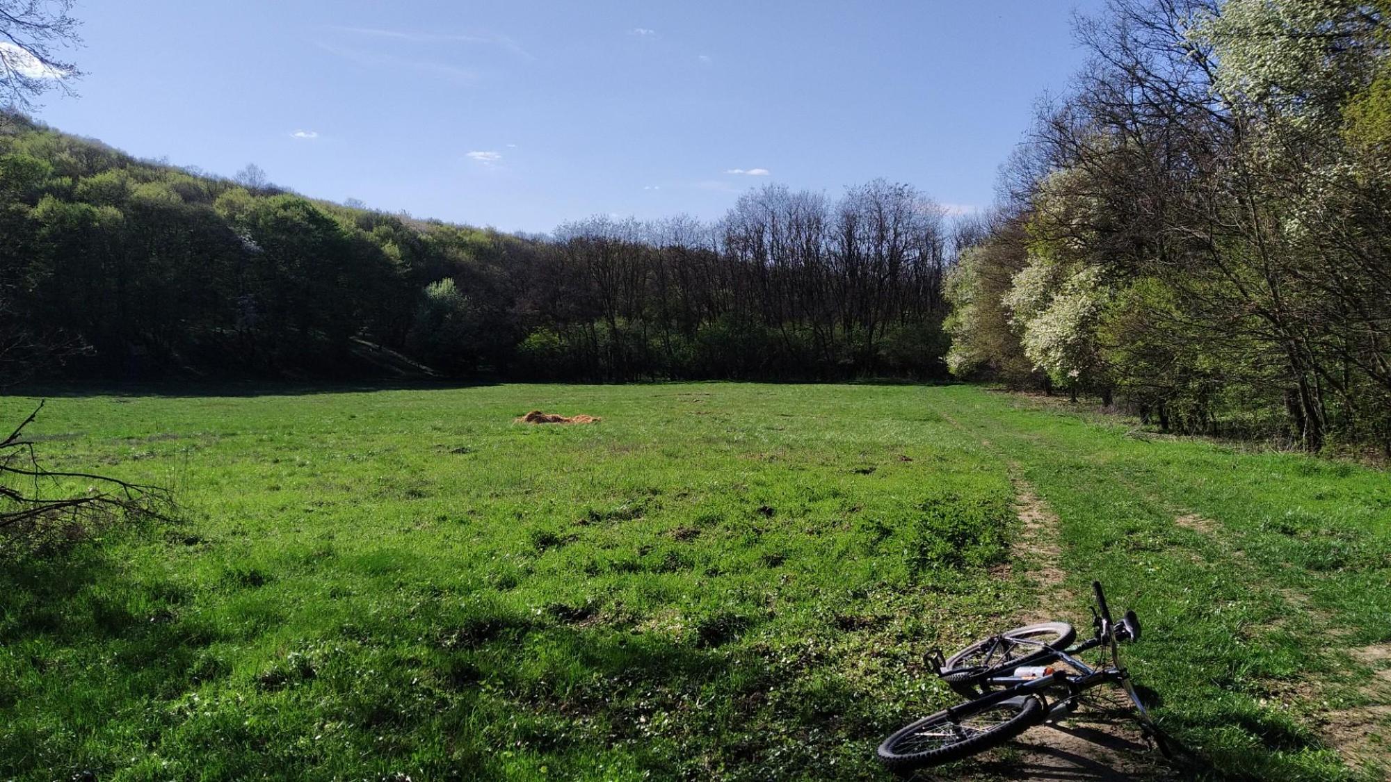 69d6983eb876f00f20ea20b0.jpg?width=2000&