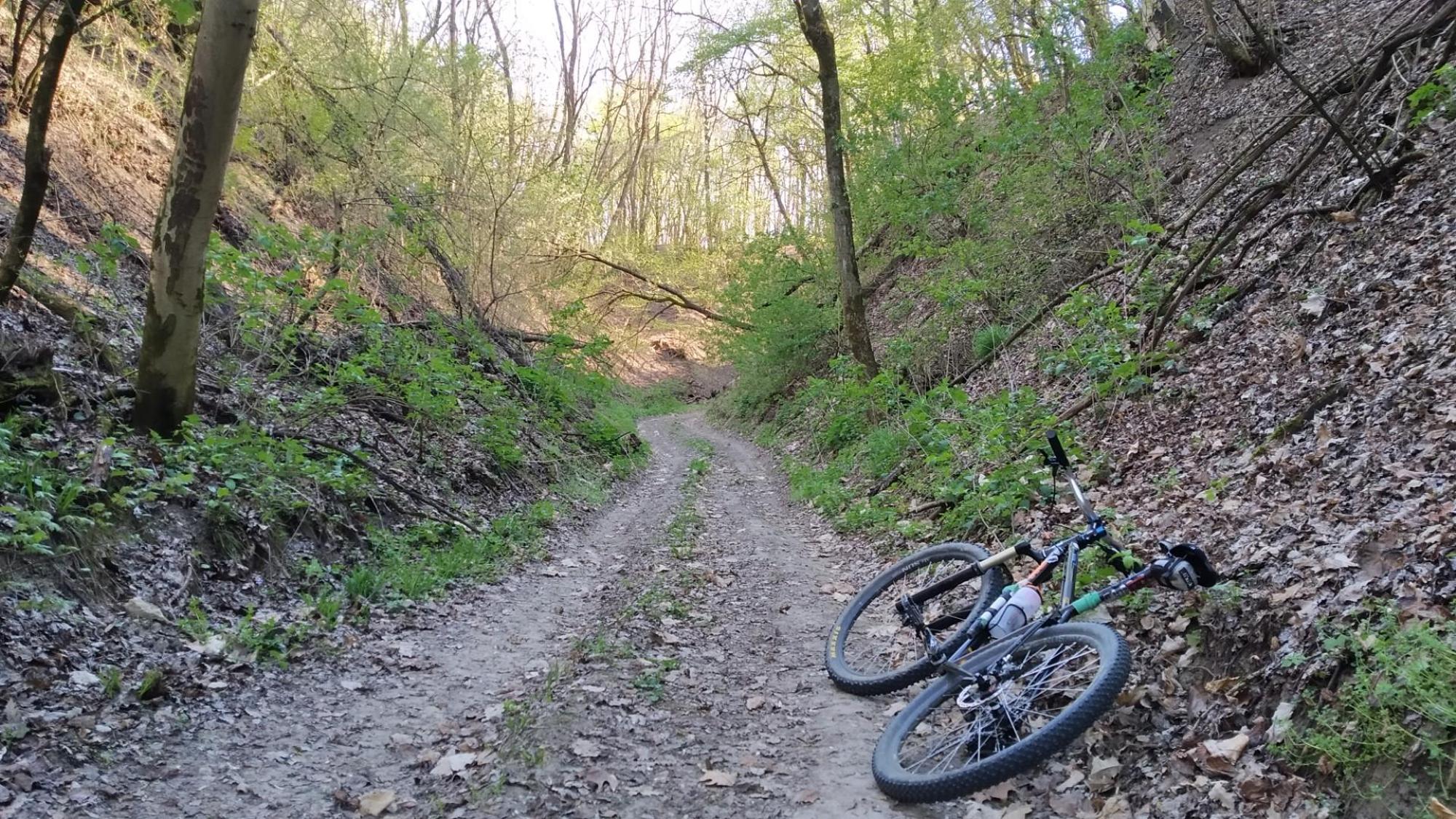 69d6984db170f3459e658bfe.jpg?width=2000&