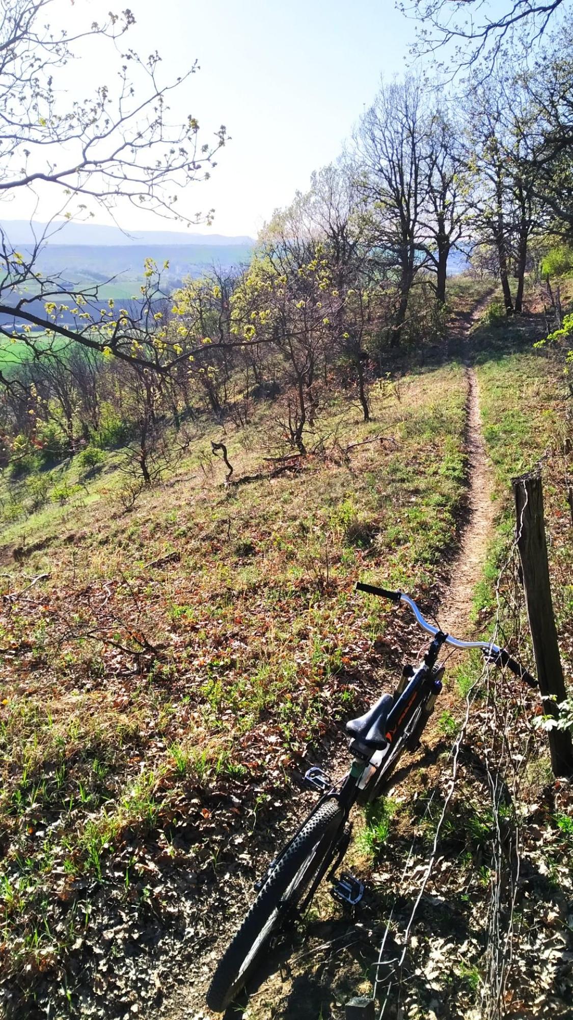 69d6986a91d50b637455d5e3.jpg?width=2000&