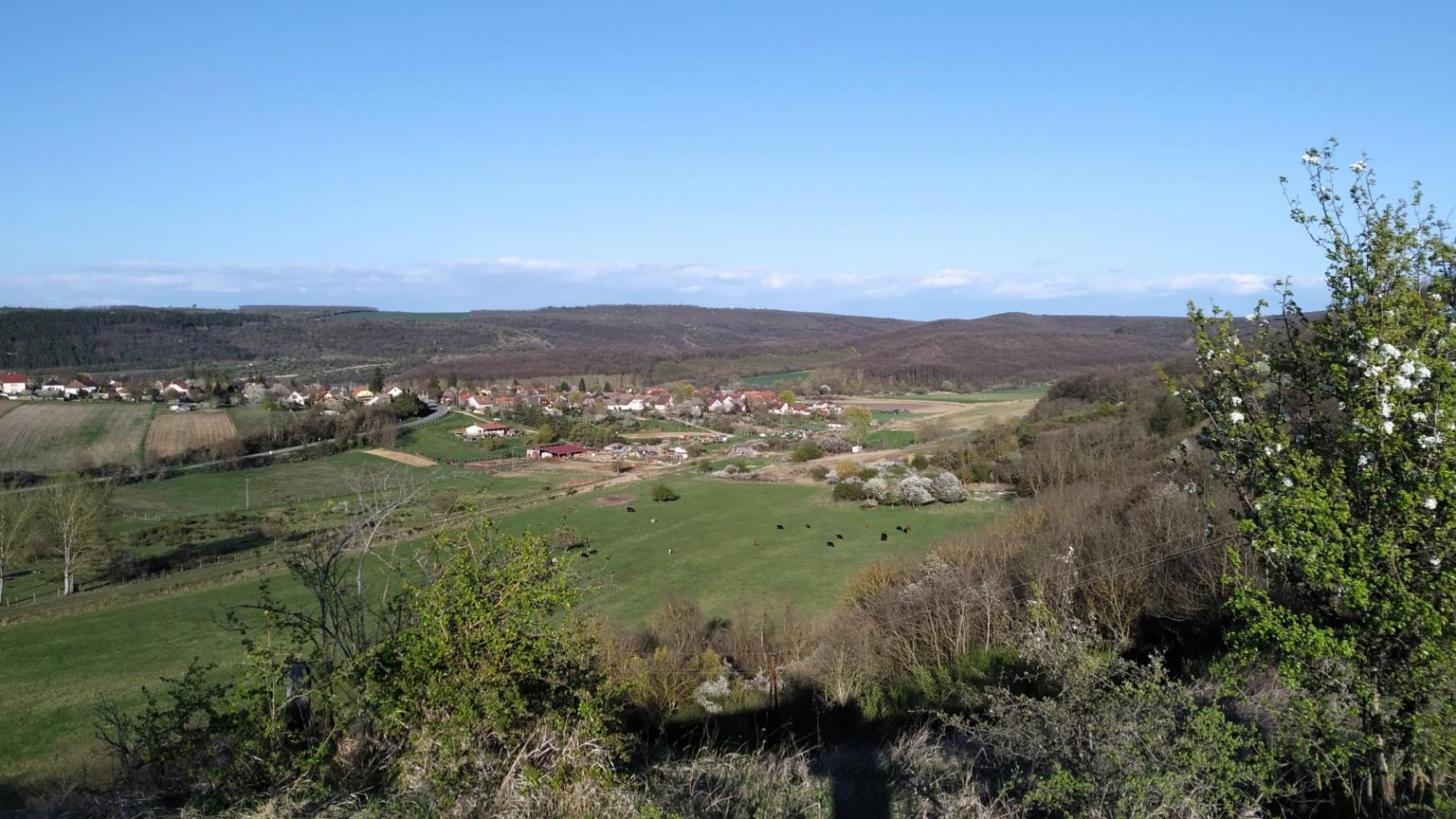 69d698aff0f730720b433863.jpg?width=2000&