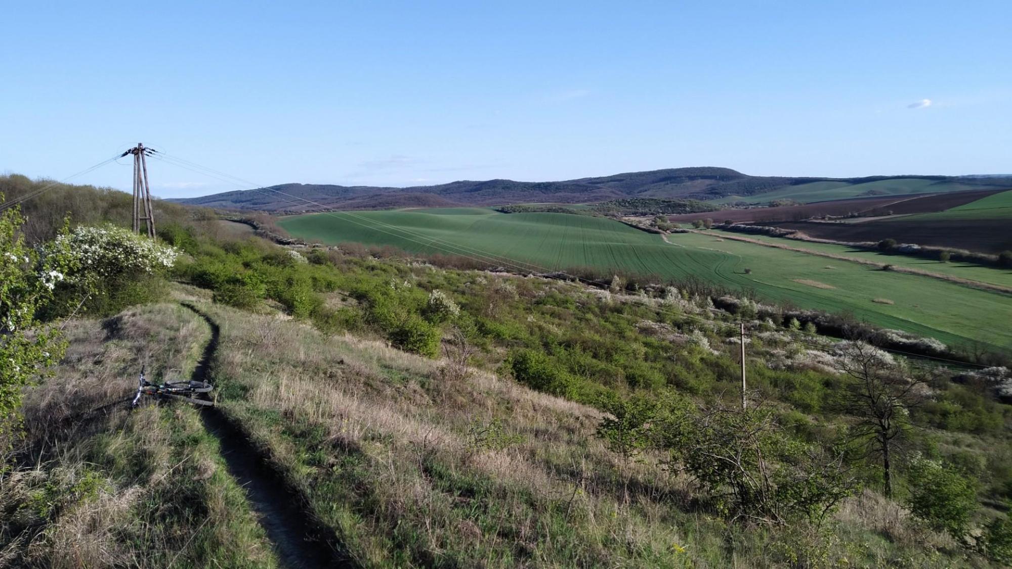 69d698b291d50b637455d7e5.jpg?width=2000&